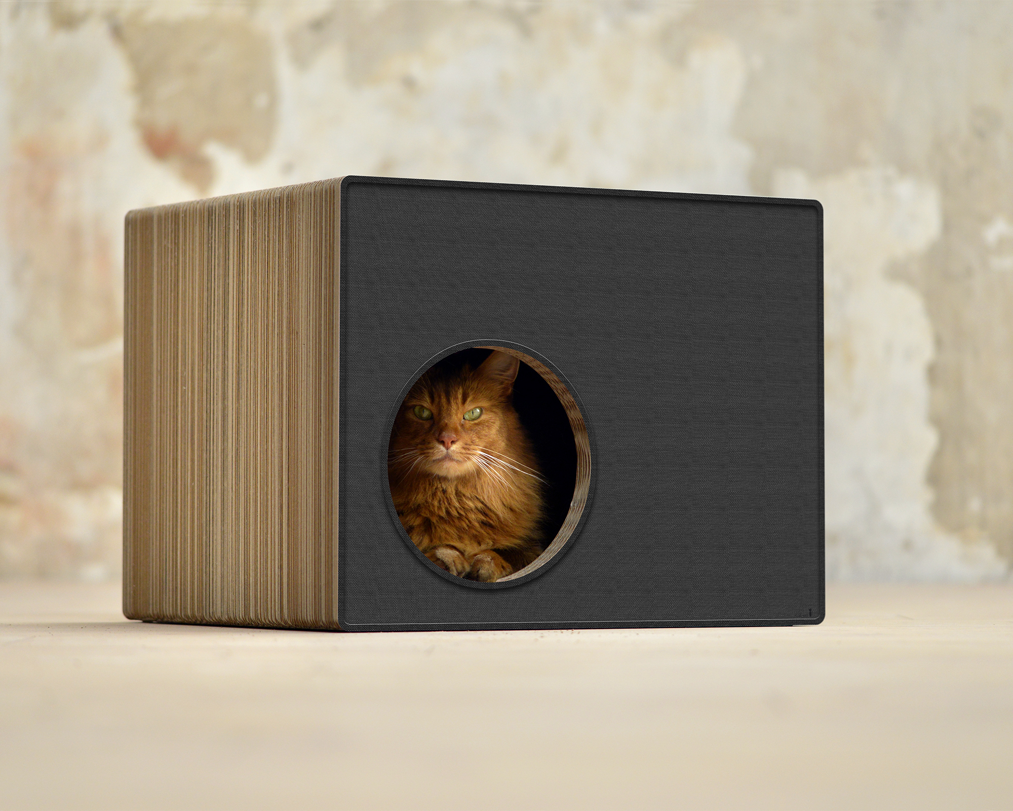 PHREDIA Eckhaus von cat-on, Katze im Inneren des Design-Kratzmöbels aus Wellpappe
