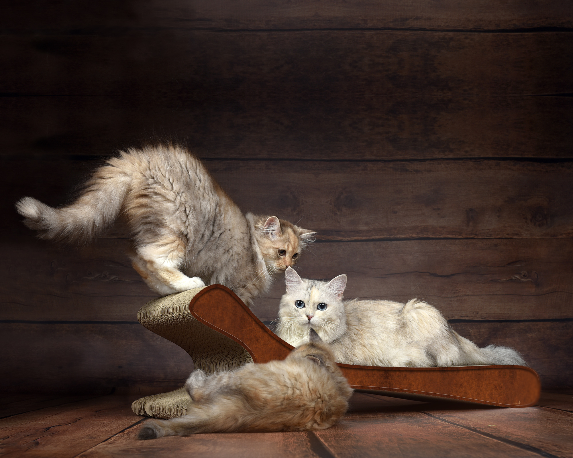 Modell FELINE XL in Braun – robustes und modernes Kratzmöbel aus Wellpappe, hergestellt in Berlin