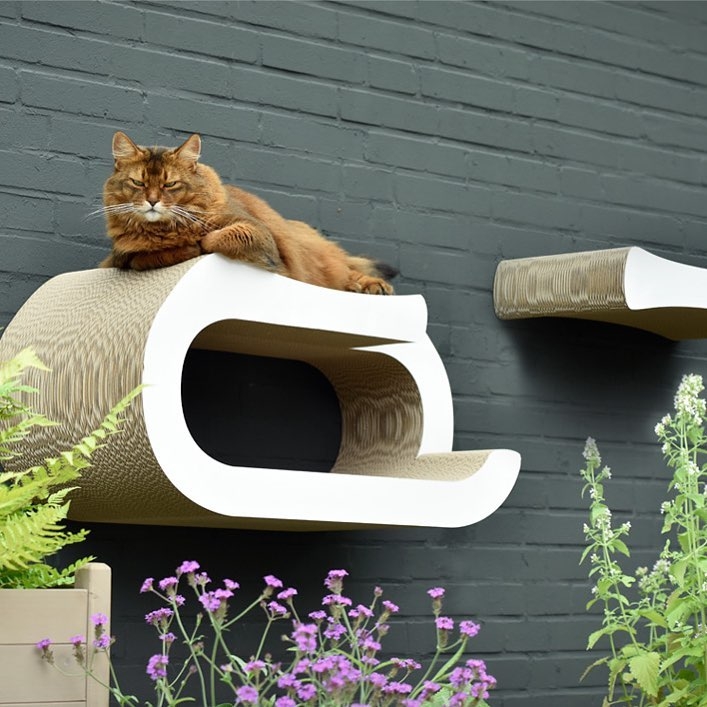 ... wall art in cat-on style ... caton’sche Wandmalerei 😻😻#catoncatscratcher #ecofriendlyproducts #cats #katze #catscratcher #wallart #katzenbilder #handcrafted #handmade #handmadeingermany #madeingermany