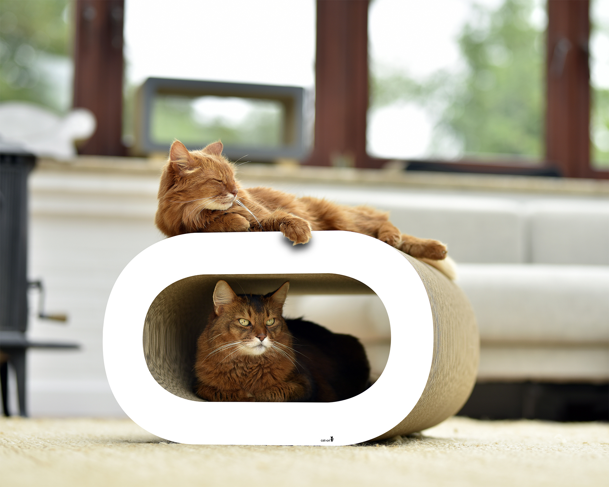 Zwei Katzen in LE TRONC – stylische Kratzhöhle und modernes Kratzmöbel Zwei Katzen entspannen in LE TRONC – einer stylischen Kratzhöhle aus nachhaltiger Wellpappe, ein modernes Kratzmöbel für Katzen mit elegantem Design.