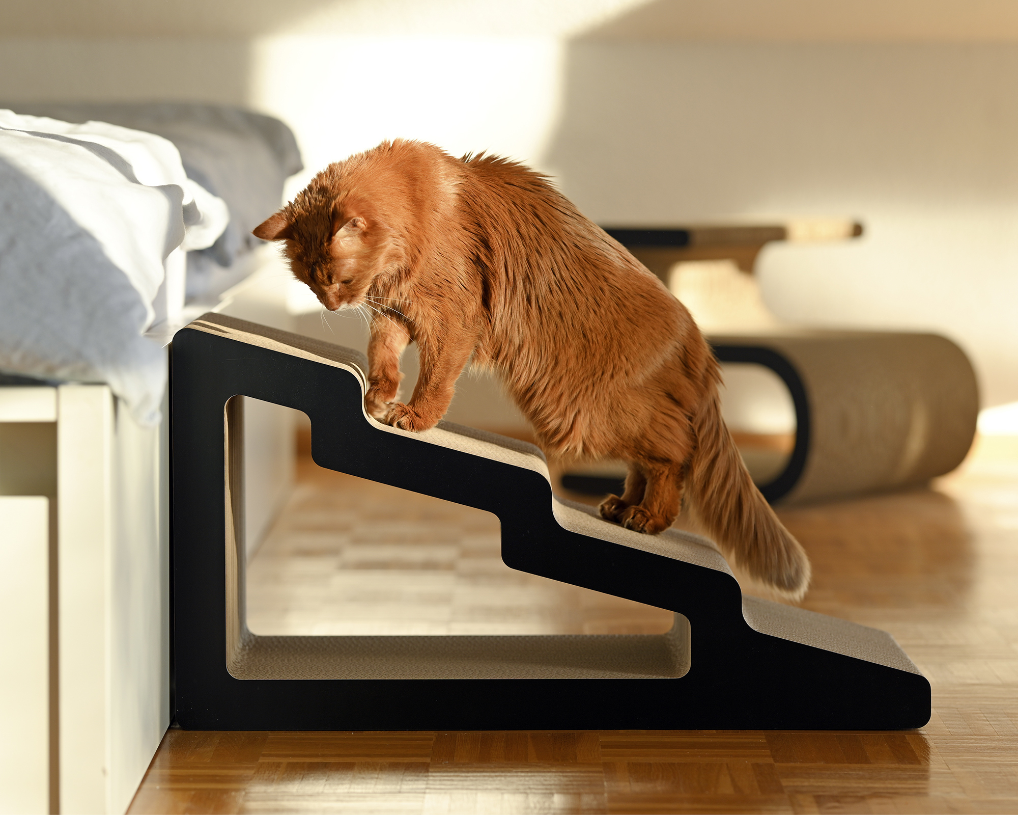 Cool cat standing on the stylish Kaidan scratching staircase crafted from durable corrugated cardboard