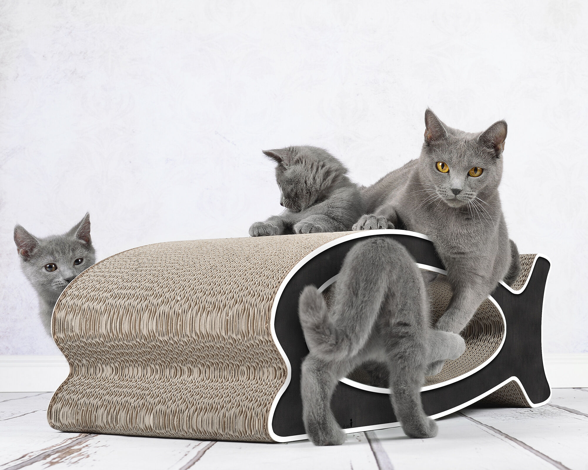Several cats playing and scratching on LE FISH – stylish fish-shaped cardboard cat scratcher