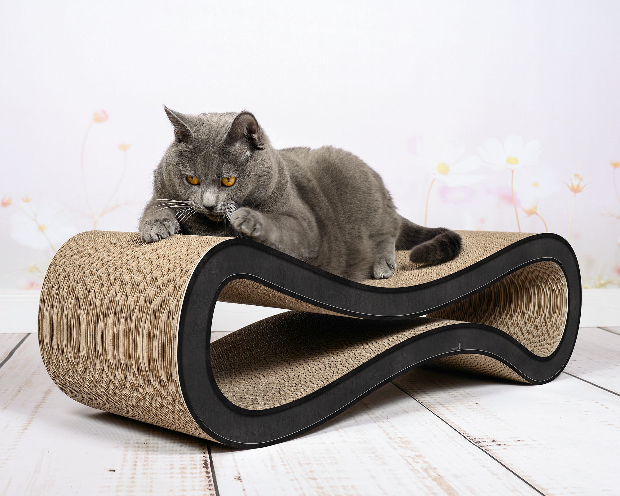 CAT RACER M, Kratzmöbel in grau mit Rand  eine Katze entspannt und kratzt auf dem modernen cat-on Design Kratzmöbel CAT RACER M grau