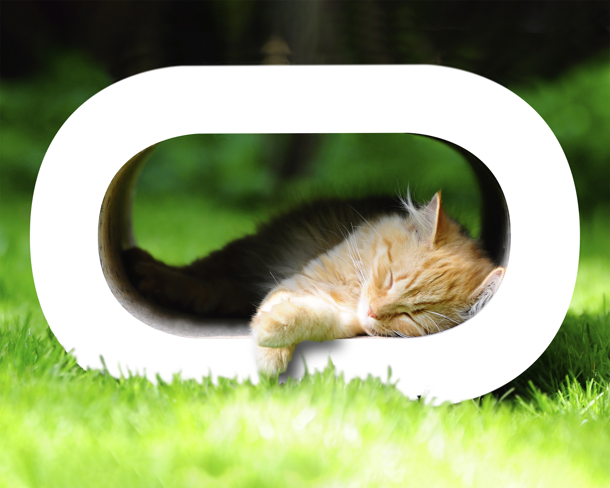 Chat dans LE TRONC – griffoir stylé et cachette moderne pour chat Un chat se repose dans LE TRONC – un griffoir élégant en carton durable, servant aussi de cachette moderne et de meuble à griffer design.