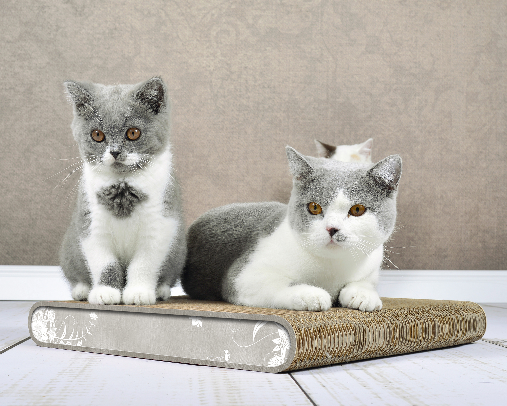 Kleiner Kratzbaum/Board La Planche (019) – nachhaltige FSC-Wellpappe, Made in Germany.