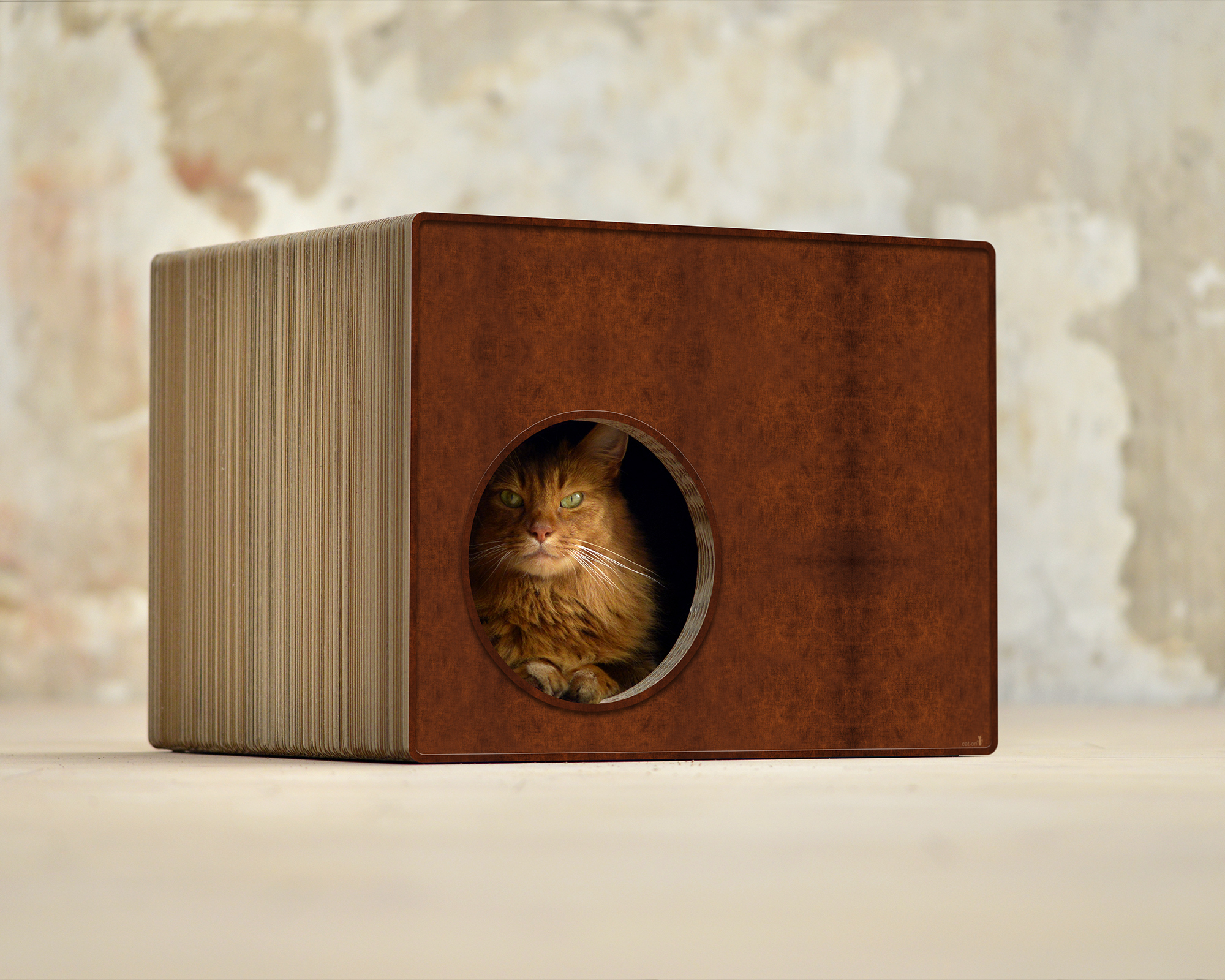 PHREDIA Eckhaus von cat-on, Katze im Inneren des Design-Kratzmöbels aus Wellpappe