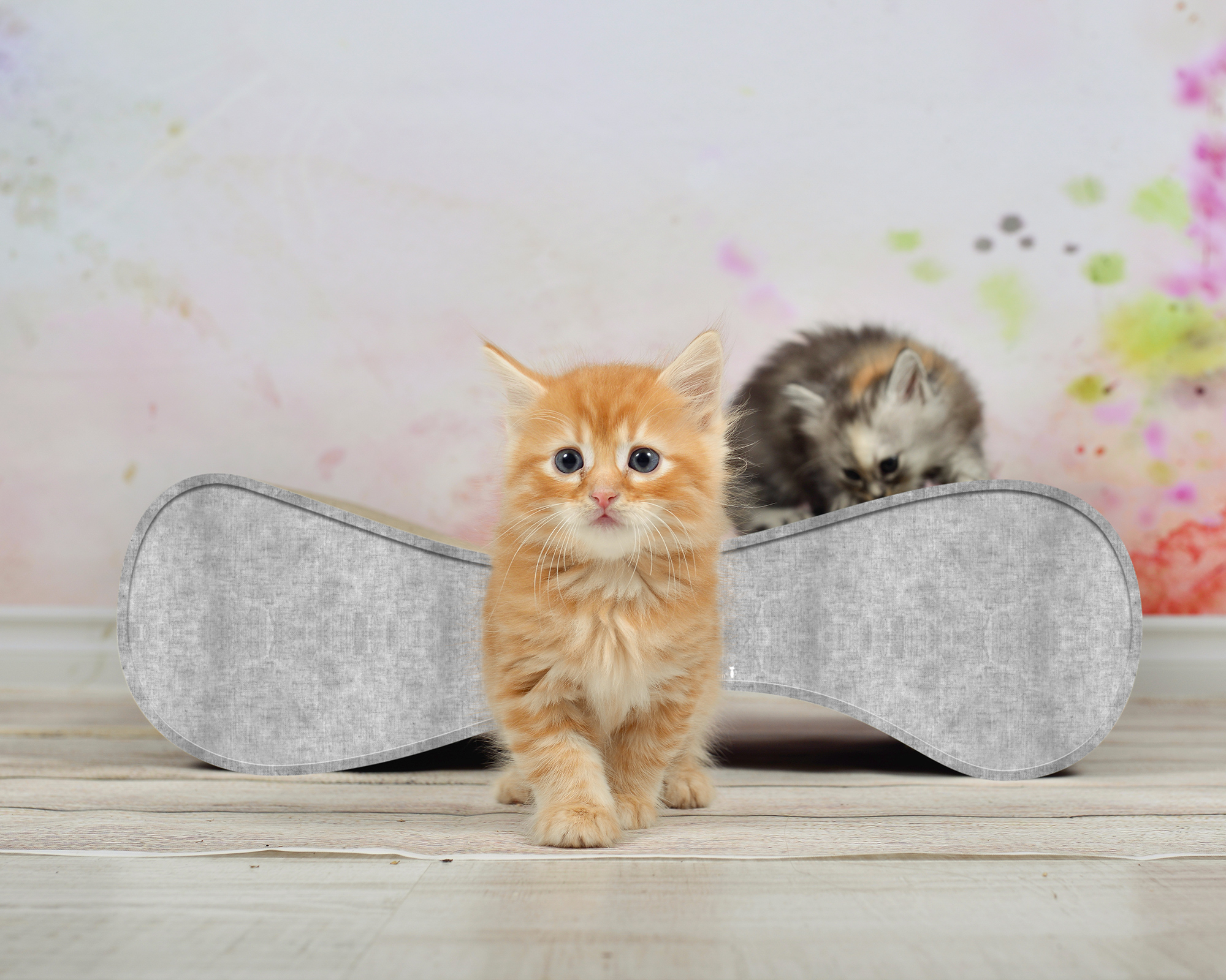 LE VER S Katzensofa in Grau – hochwertiges Katzenmöbel und Liegeplatz aus Kratzpappe, handgefertigt in Deutschland