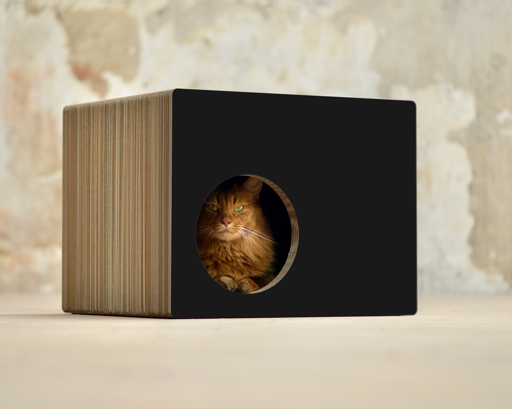 PHREDIA Eckhaus von cat-on, Katze im Inneren des Design-Kratzmöbels aus Wellpappe