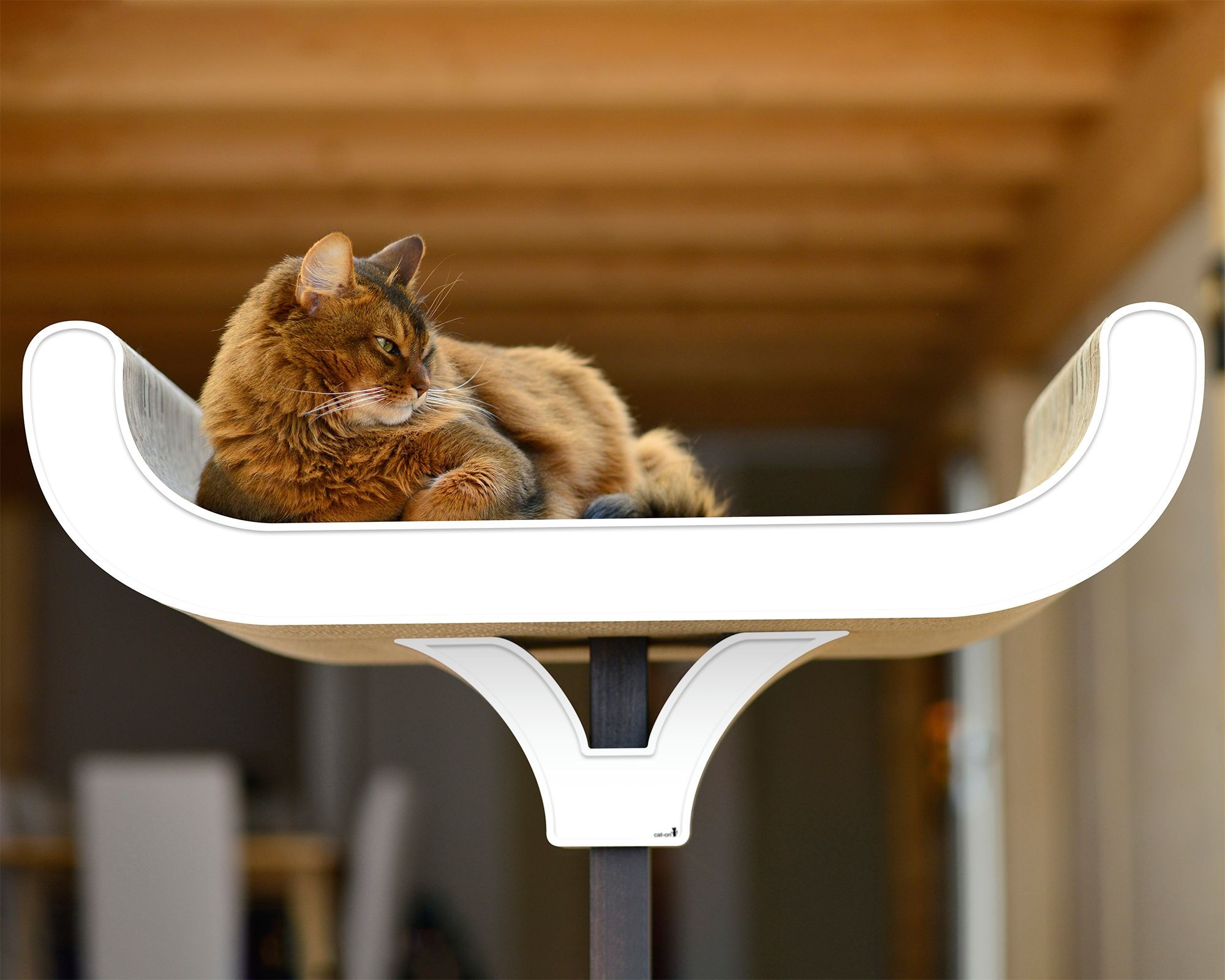 Katze liegt und spielt auf dem Design Kratzbaum Corbeille – exklusiver Kratzbaum aus Holz und Wellpappe, stilvolles Katzenmöbel