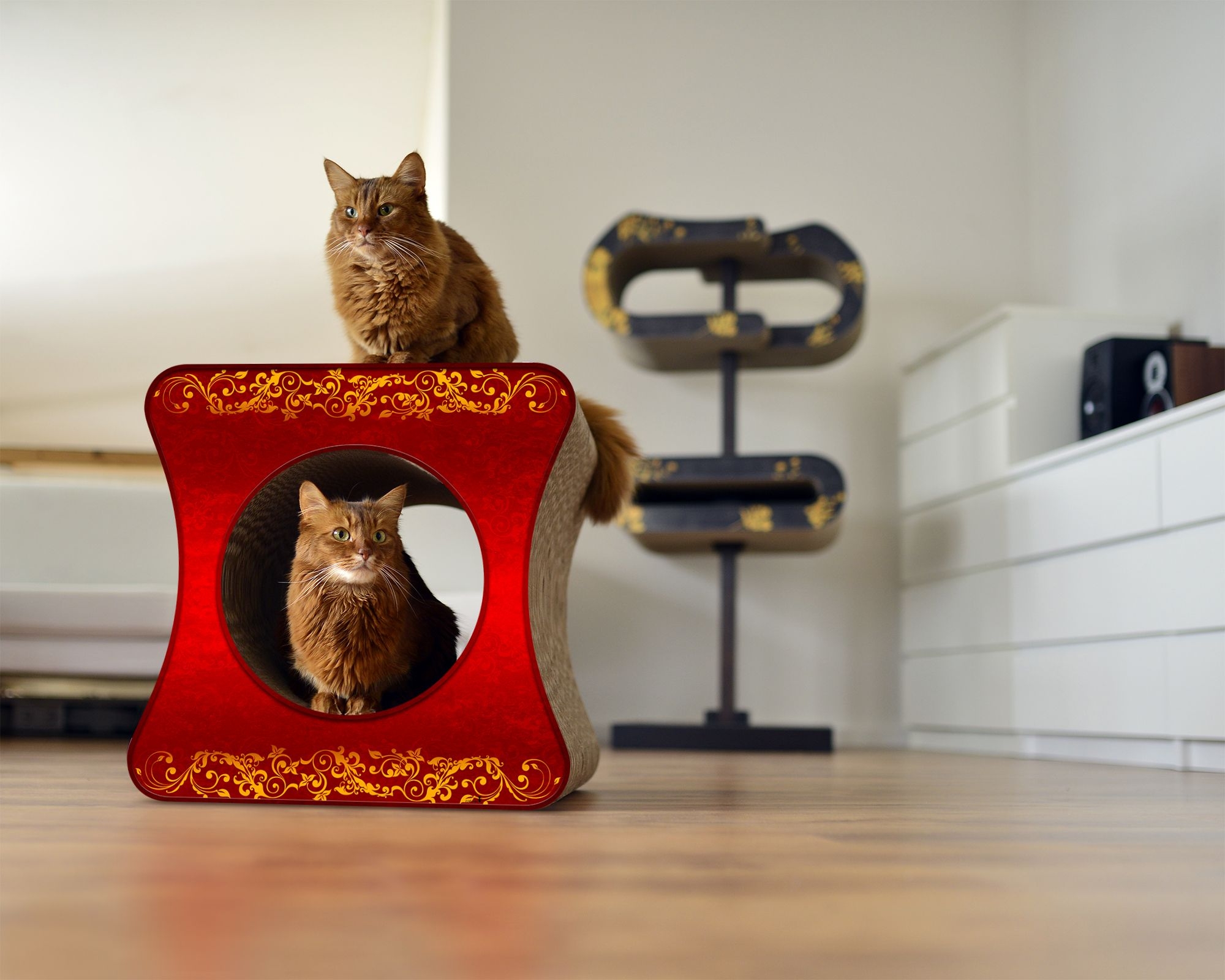 LE CUBE Design Katzenmöbel, élégance (030)