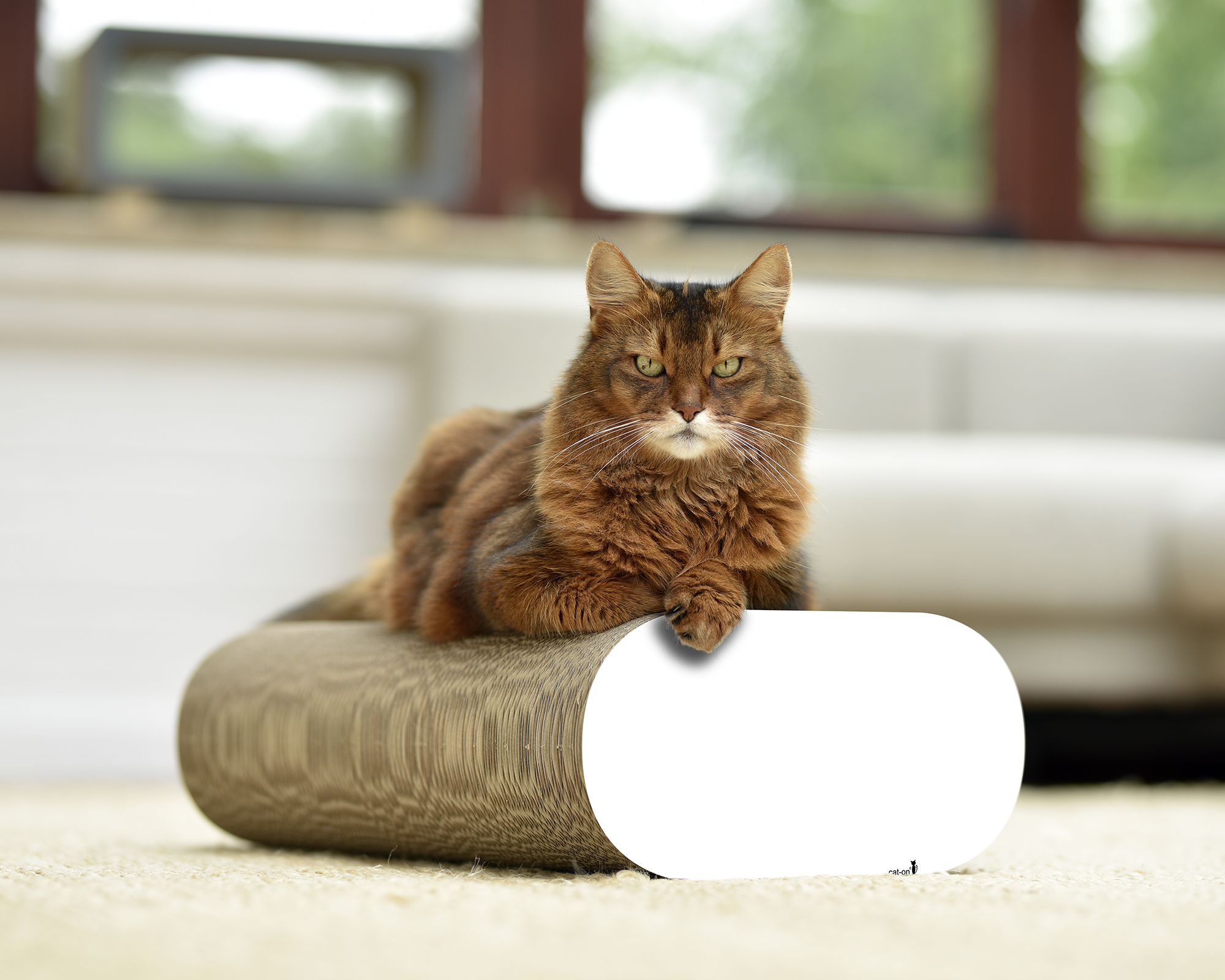 La Banquette – Minimalistisches Design in Weiß (000x) Minimalistisches Katzenmöbel La Banquette aus deutscher Wellpappe in Weiß (000x)