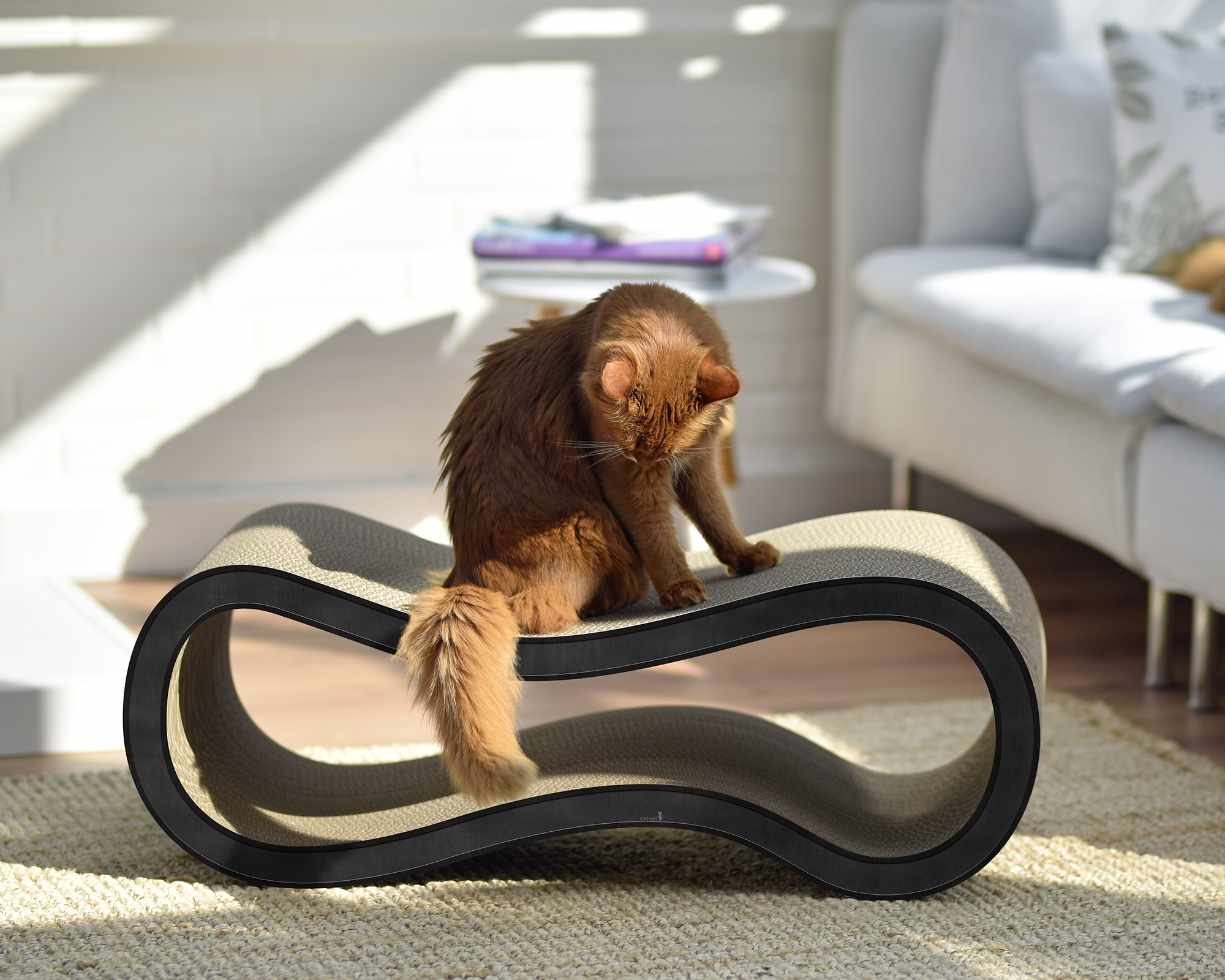 Design-Kratzbaum Singha L in elegantem Anthrazit (013) – Katze auf modernem Katzenmöbel