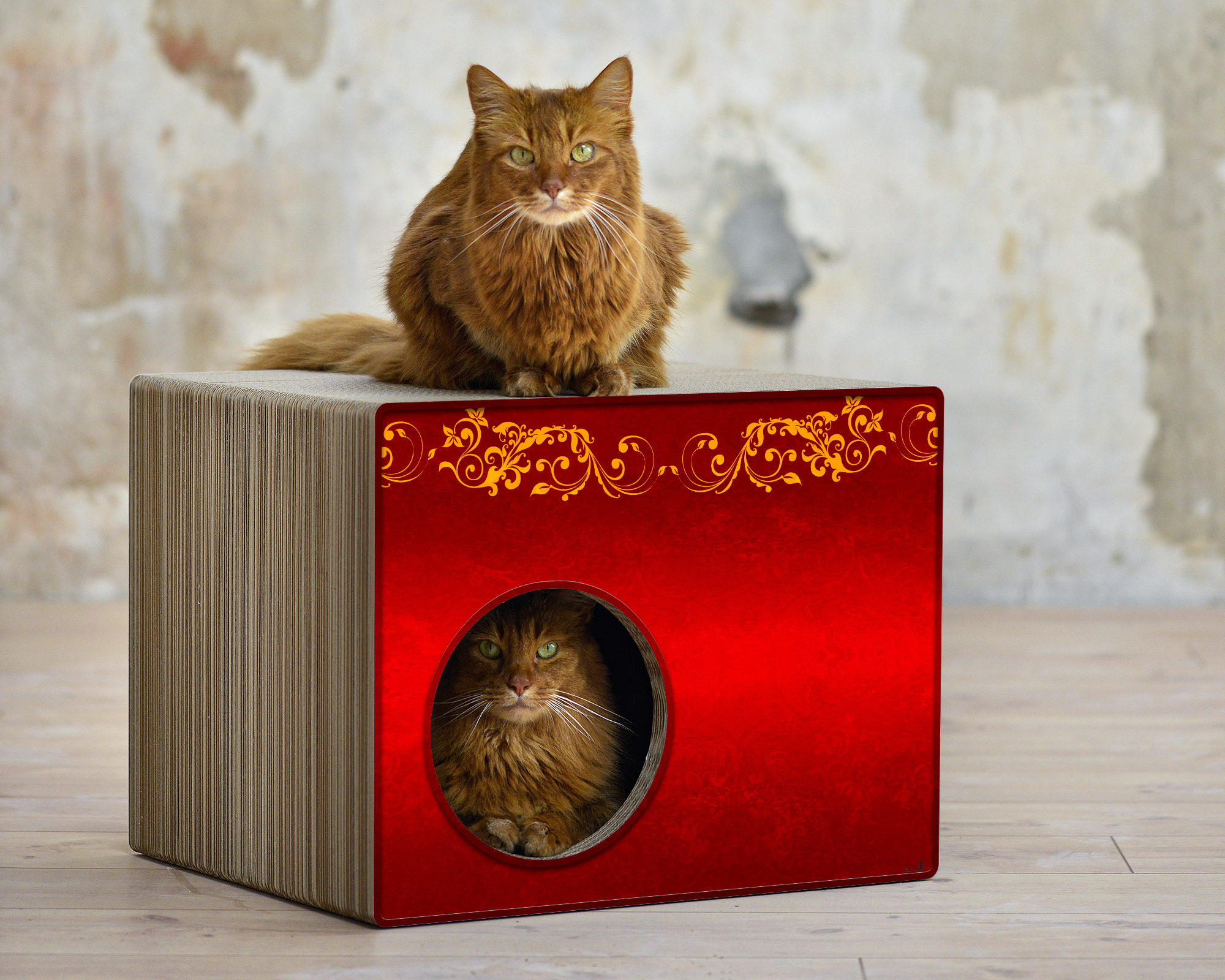 PHREDIA Eckhaus von cat-on, eine Katze oben liegend, eine Katze innen