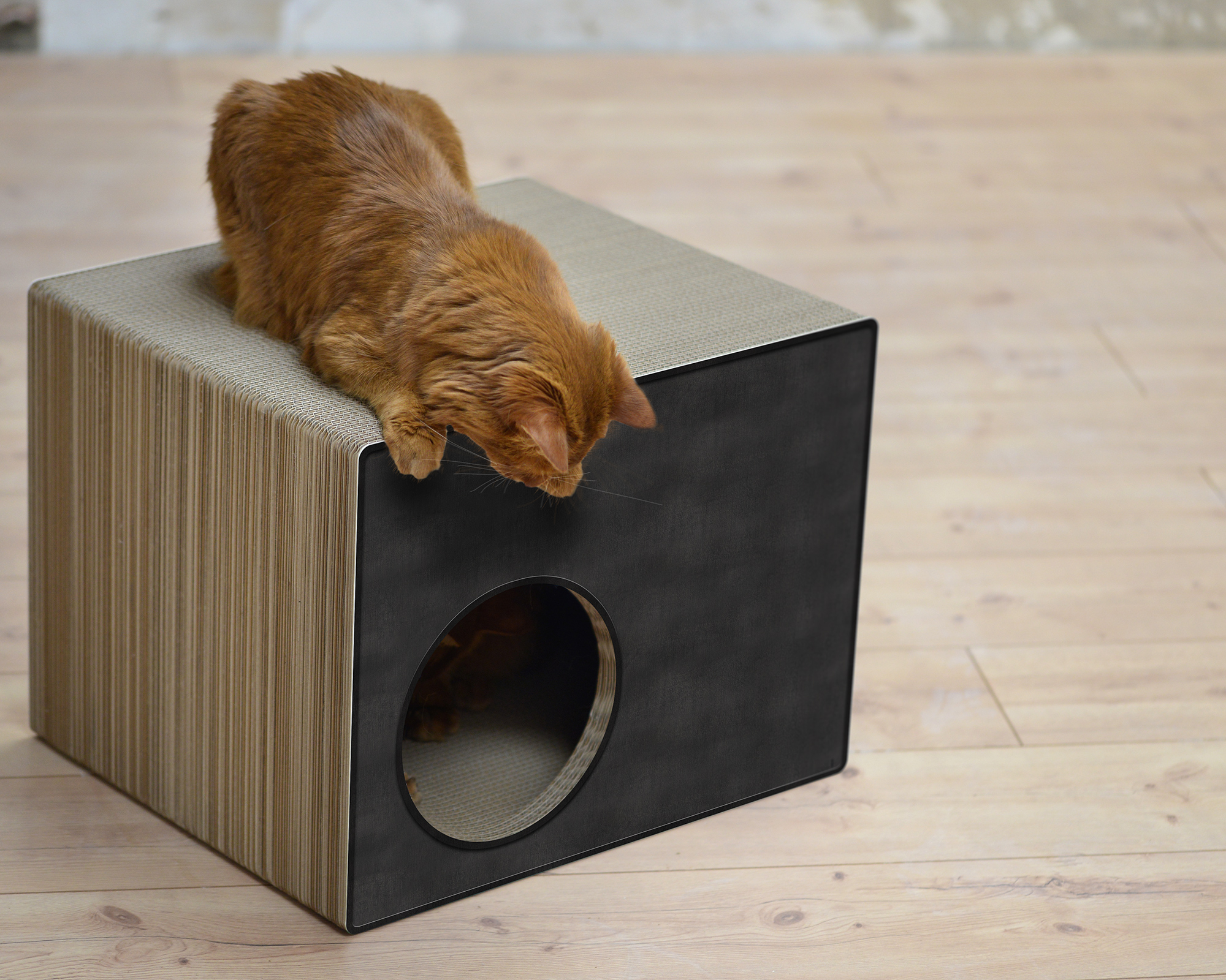 PHREDIA Eckhaus von cat-on, eine Katze oben liegend, eine Katze innen