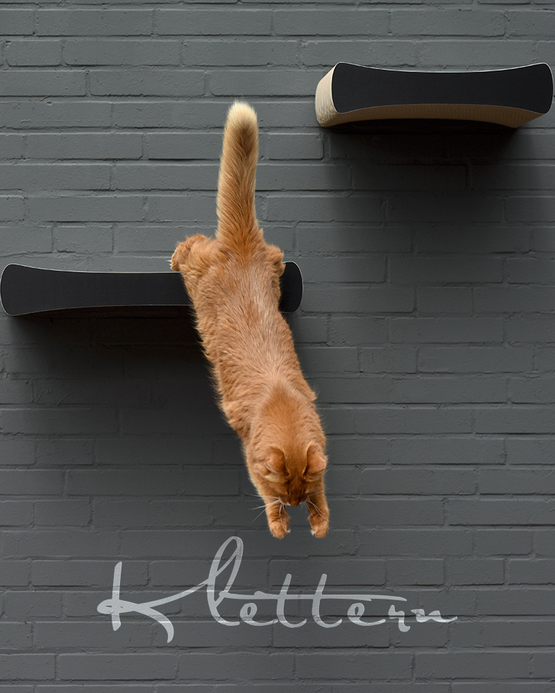 moderne-design-katzen-kletterwand-wandkratzmoebel-wandkratzbaum-katzenregale-catwalk moderne-design-katzen-kletterwand-wandkratzmoebel-wandkratzbaum-katzenregale-catwalk