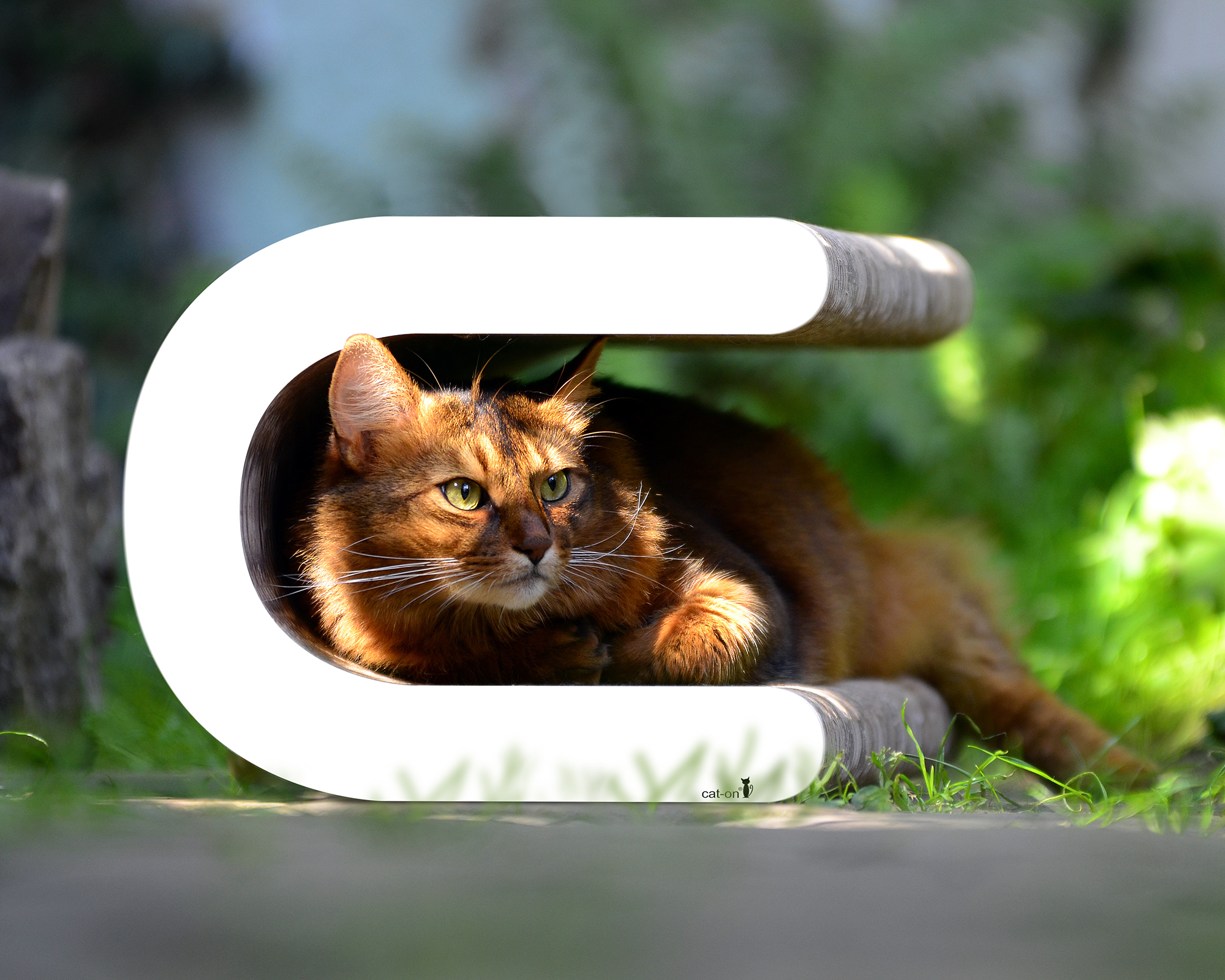 Cat-on Le Tonneau XL – modernes Designmöbel für Katzen Entspannte Katze auf dem Le Tonneau XL Kratzmöbel von cat-on draußen weiß