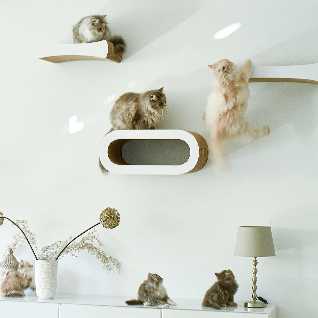 Griffoirs muraux et étagères murales élégants de la ligne Linéa Design de cat-on