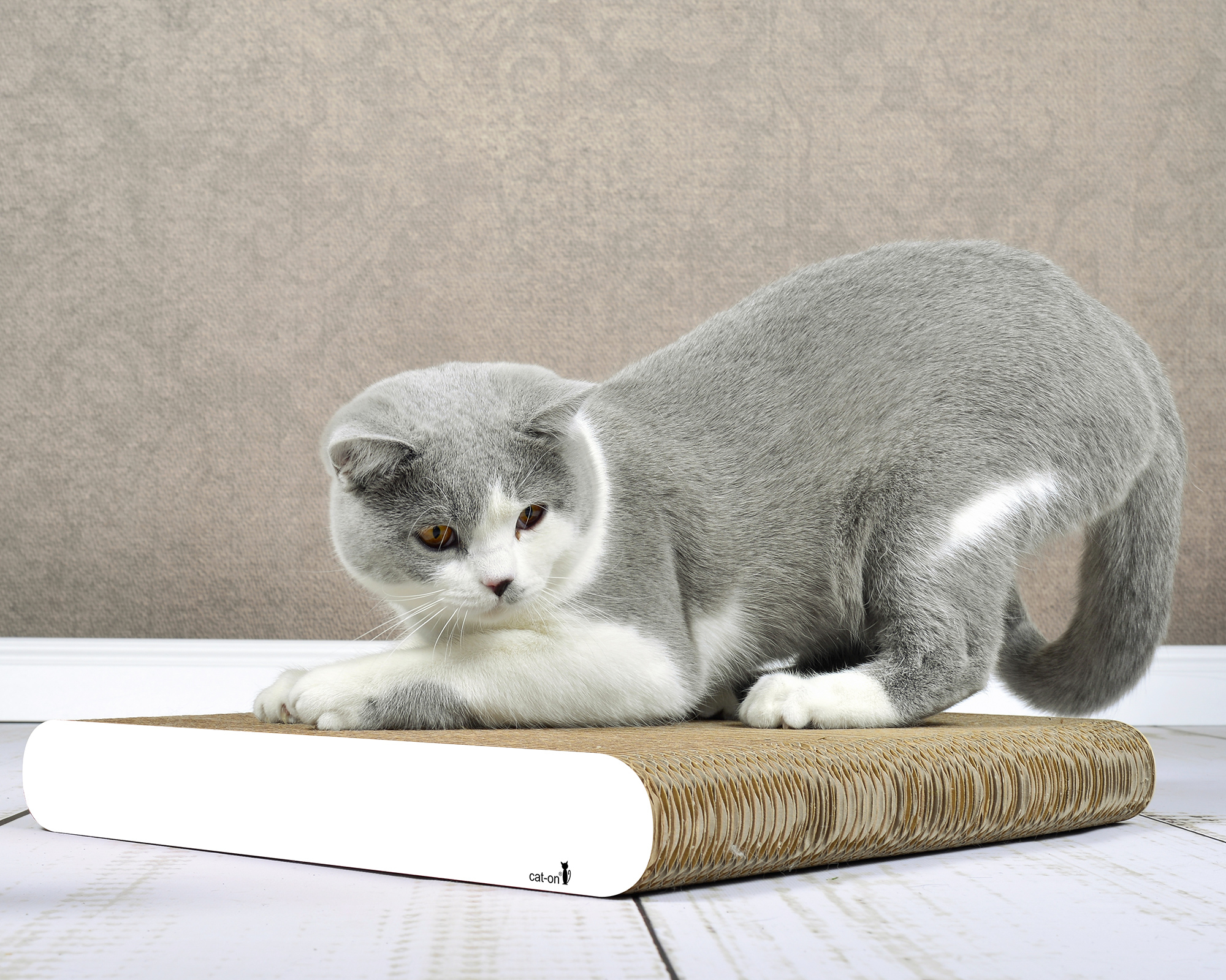 Kratzbrett für Katzen LA PLANCHE aus hochwertiger und langlebiger Wellpappe BKH Katze kratzt auf dem flachen Kratzbrett aus Kratzpappe LA PLANCHE