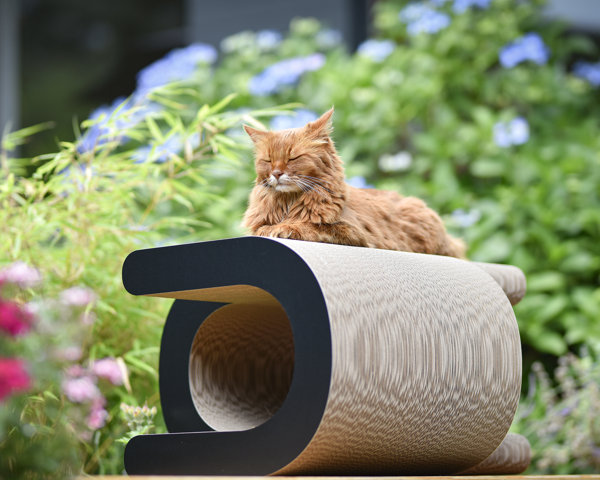 Designer Kratzmöbel für große Katzen - Seitenansicht - eine Katze liegt auf dem stylischen Kratzmöbel