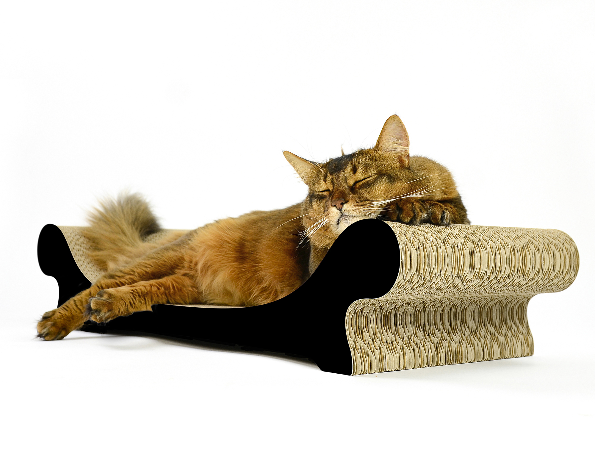 LE CANAPÉ PLUS Katzensofa von cat-on, mit Katze auf Katzenmoebel aus Wellpappe