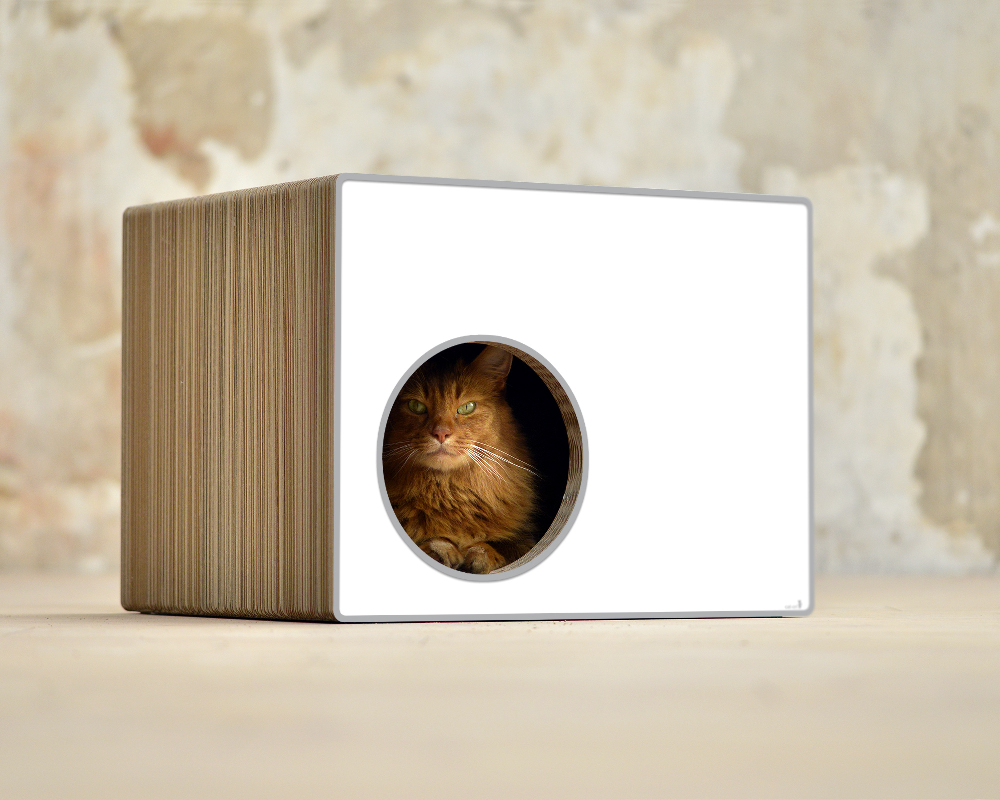 PHREDIA Eckhaus von cat-on, Katze im Inneren des Design-Kratzmöbels aus Wellpappe