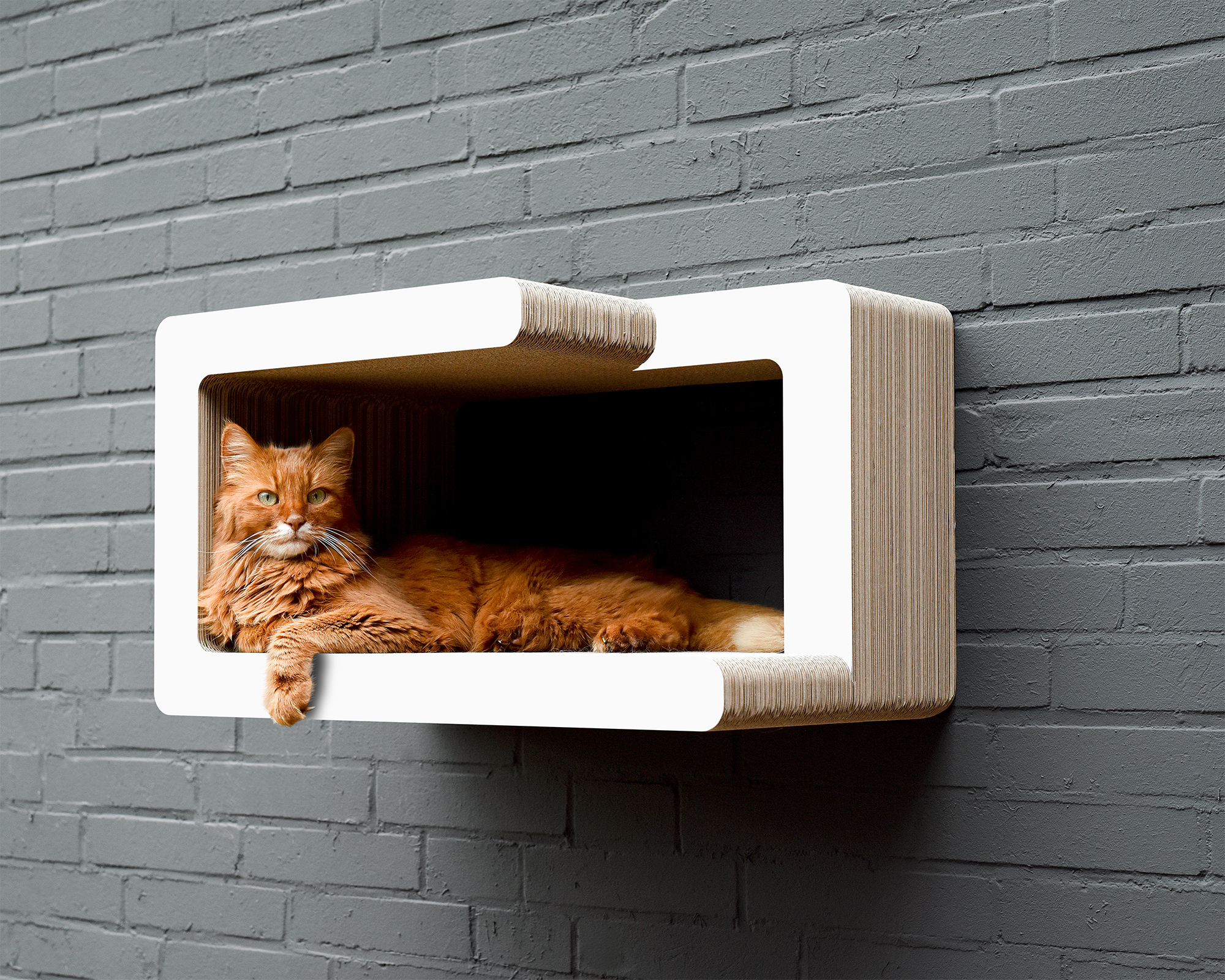 Cat on the KIO TADASHI wall scratching post – SHIBUI design A cat resting on the KIO TADASHI wall scratching post in minimalist SHIBUI design – elegant wall-mounted lounge with right opening.