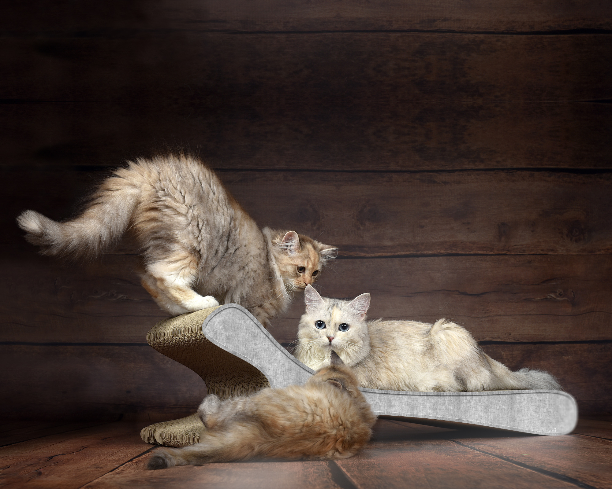 Das FELINE XL Katzensofa in Grau – stilvolle Katzenliege aus nachhaltiger Kratzpappe, Made in Germany