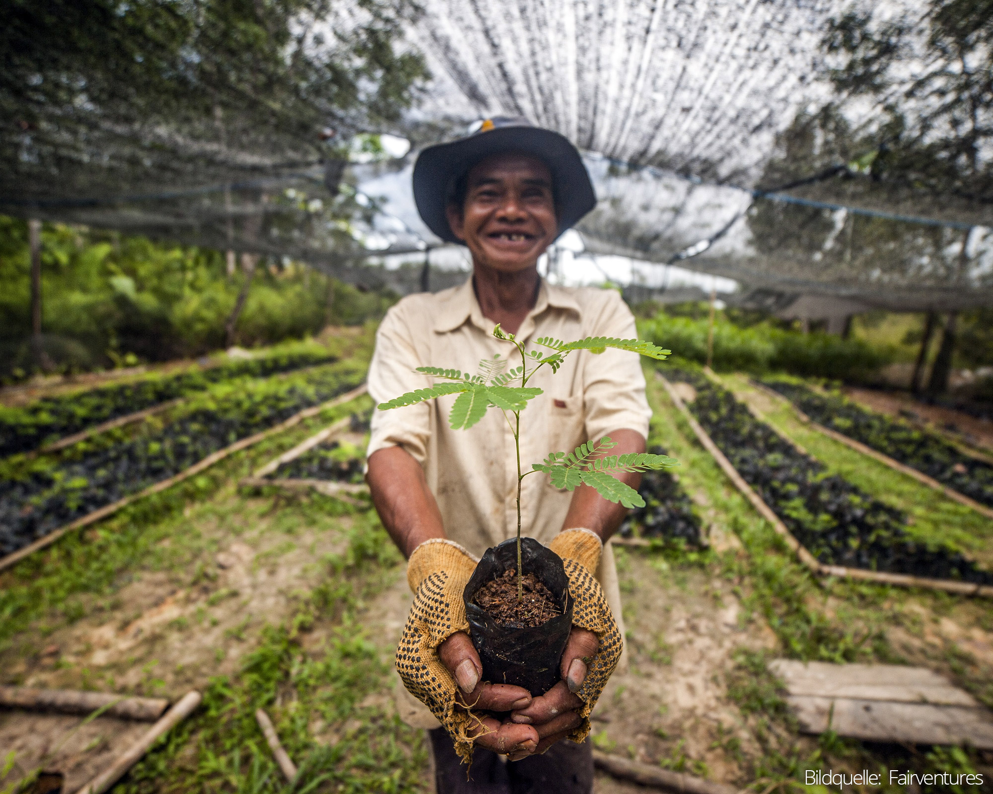 Together for the Climate: Reforestation in Borneo Together for the Climate: Reforestation in Borneo