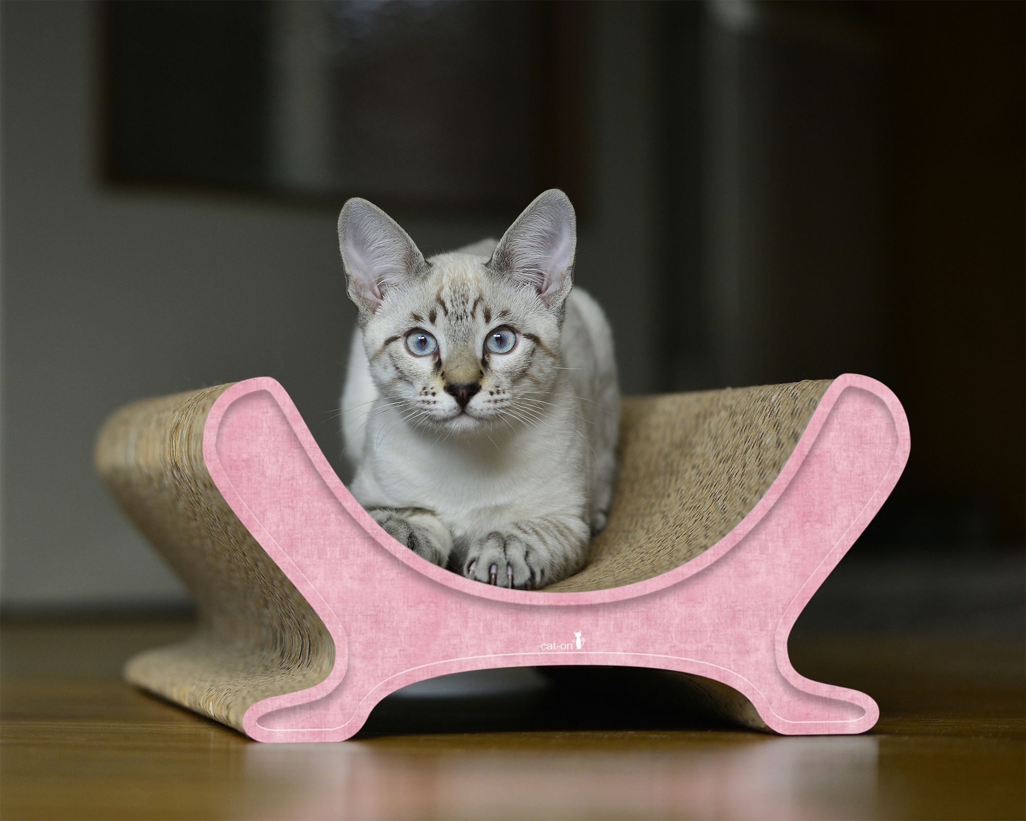 Chat sur LE PANIER sofa pour chat – meuble design en carton à griffer, fabriqué à la main à Berlin