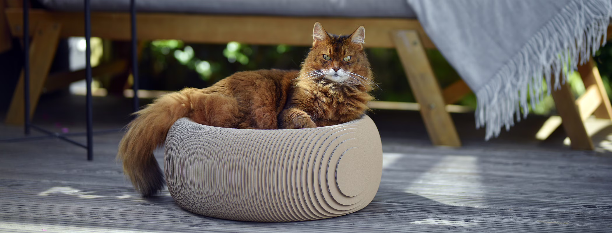 Large cat lying relaxed in the XXL cat basket made of sturdy corrugated scratching cardboard