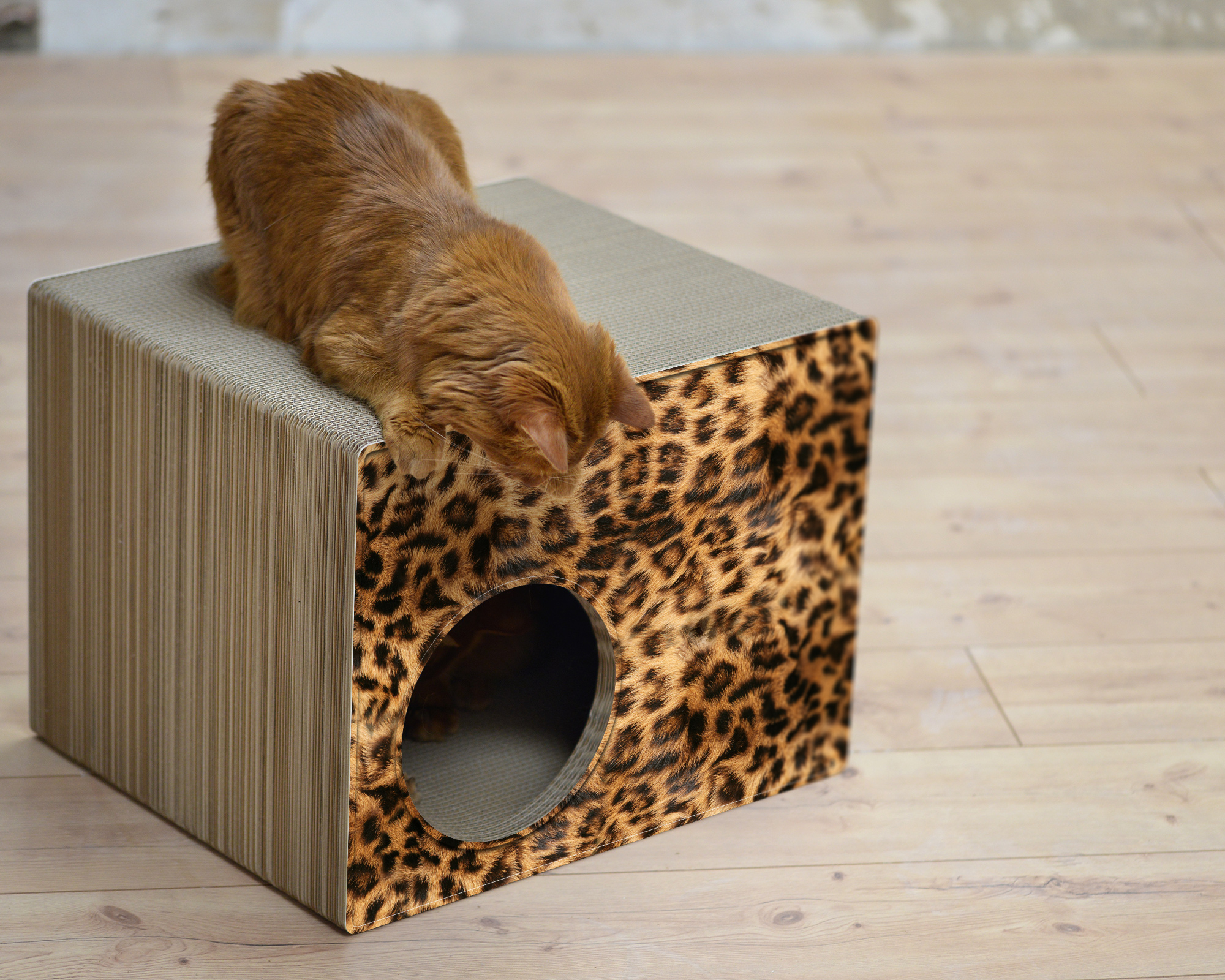 PHREDIA Eckhaus von cat-on, eine Katze oben liegend, eine Katze innen