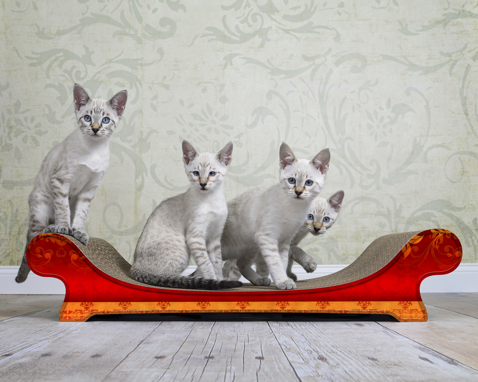 LE CANAPÉ PLUS Katzensofa von cat-on, mit Katze auf Katzenmoebel aus Wellpappe