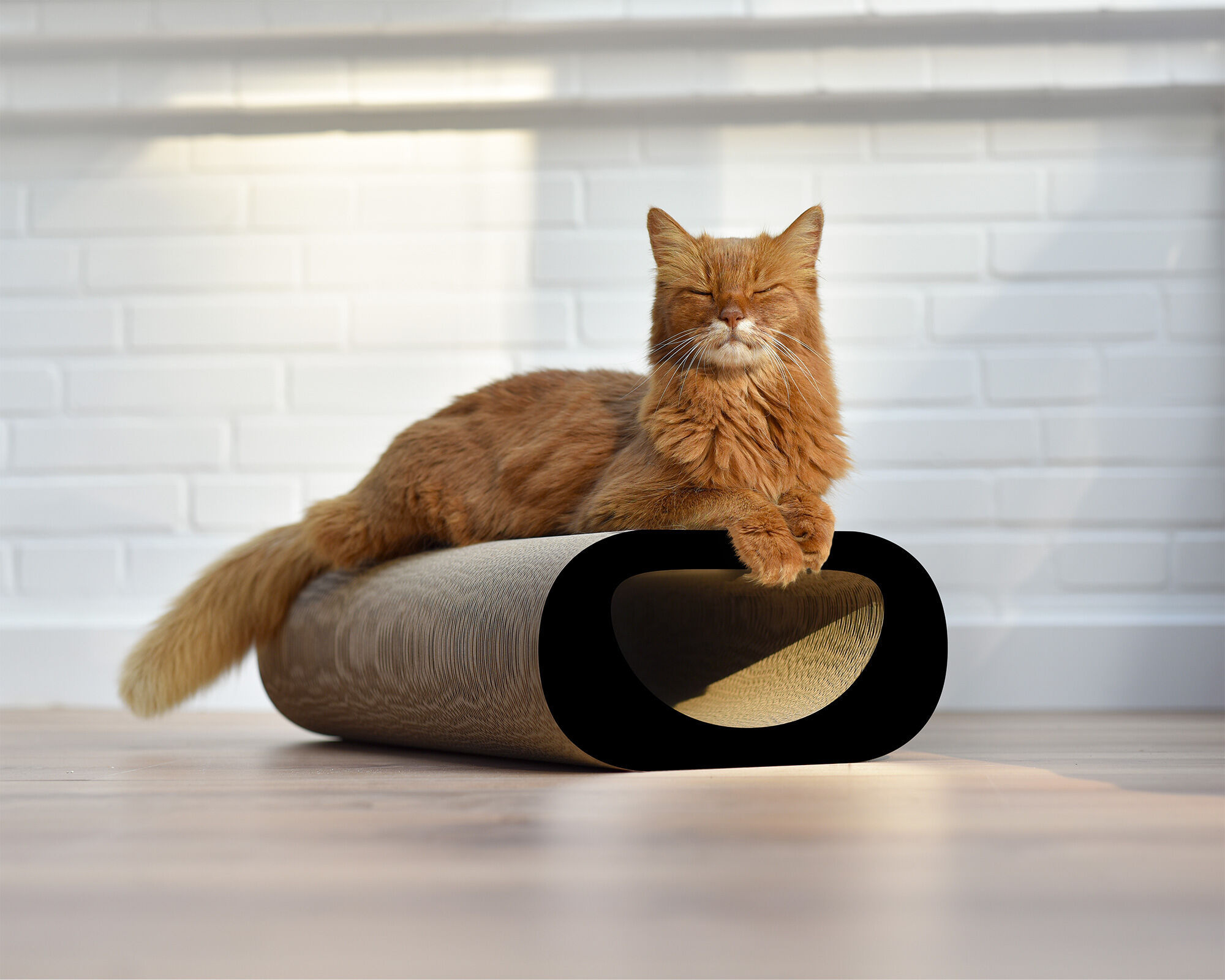 Eine Katze entspannt sich auf LE TUNNEL – dem stilvollen Kratzbrett aus langlebiger Kratzpappe, ideal zum Chillen, Kratzen und Wohlfühlen.