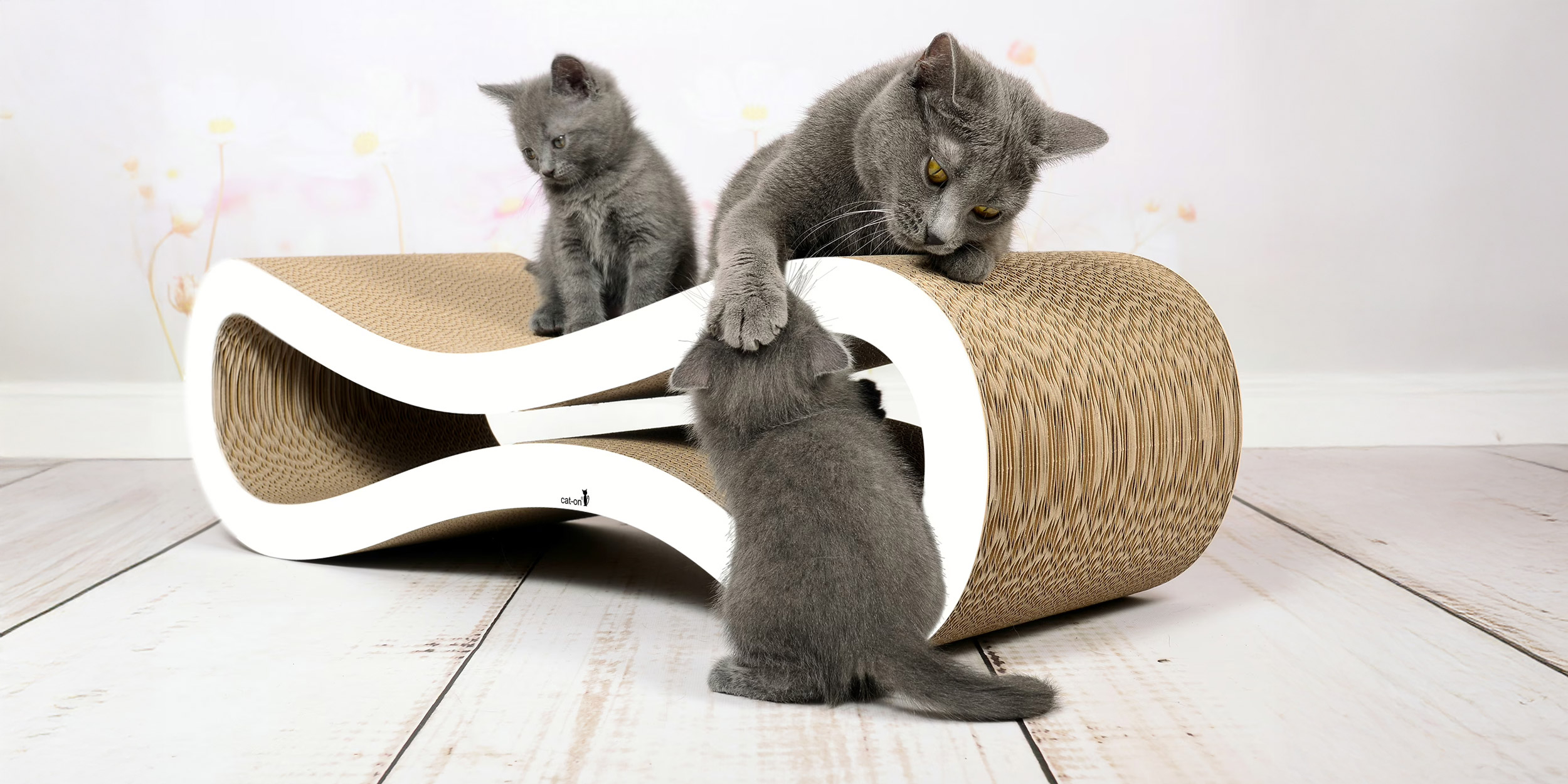 Drei Katzen chillen auf Kratzpappe für Katzen