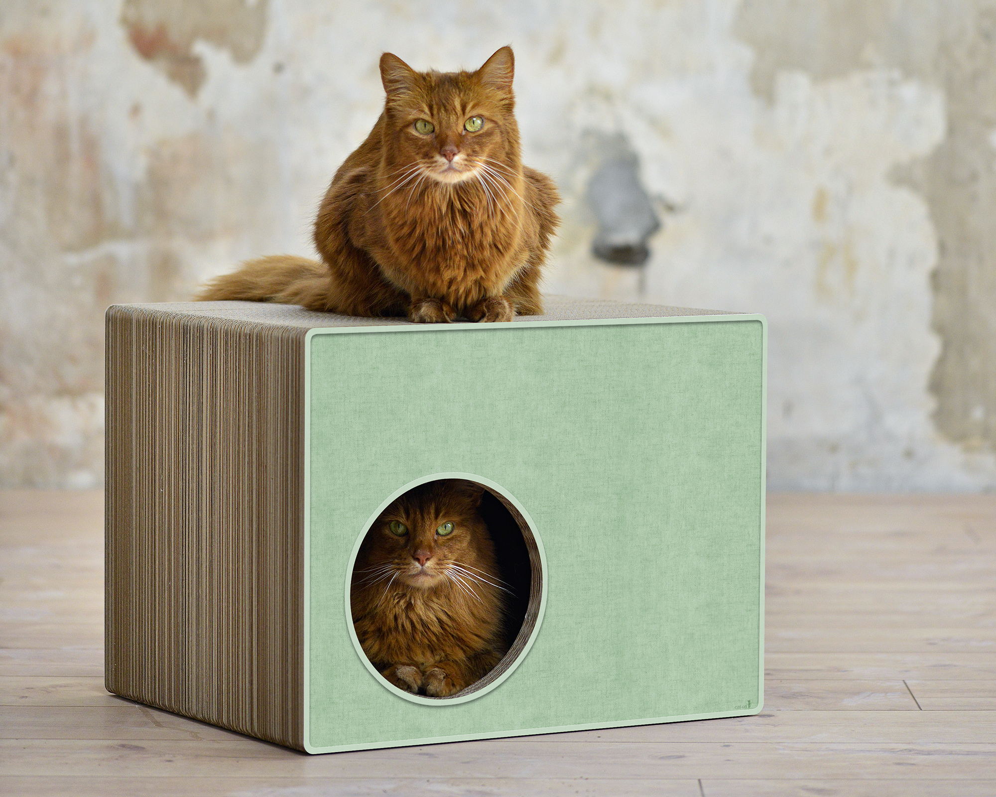 PHREDIA Eckhaus von cat-on, eine Katze oben liegend, eine Katze innen