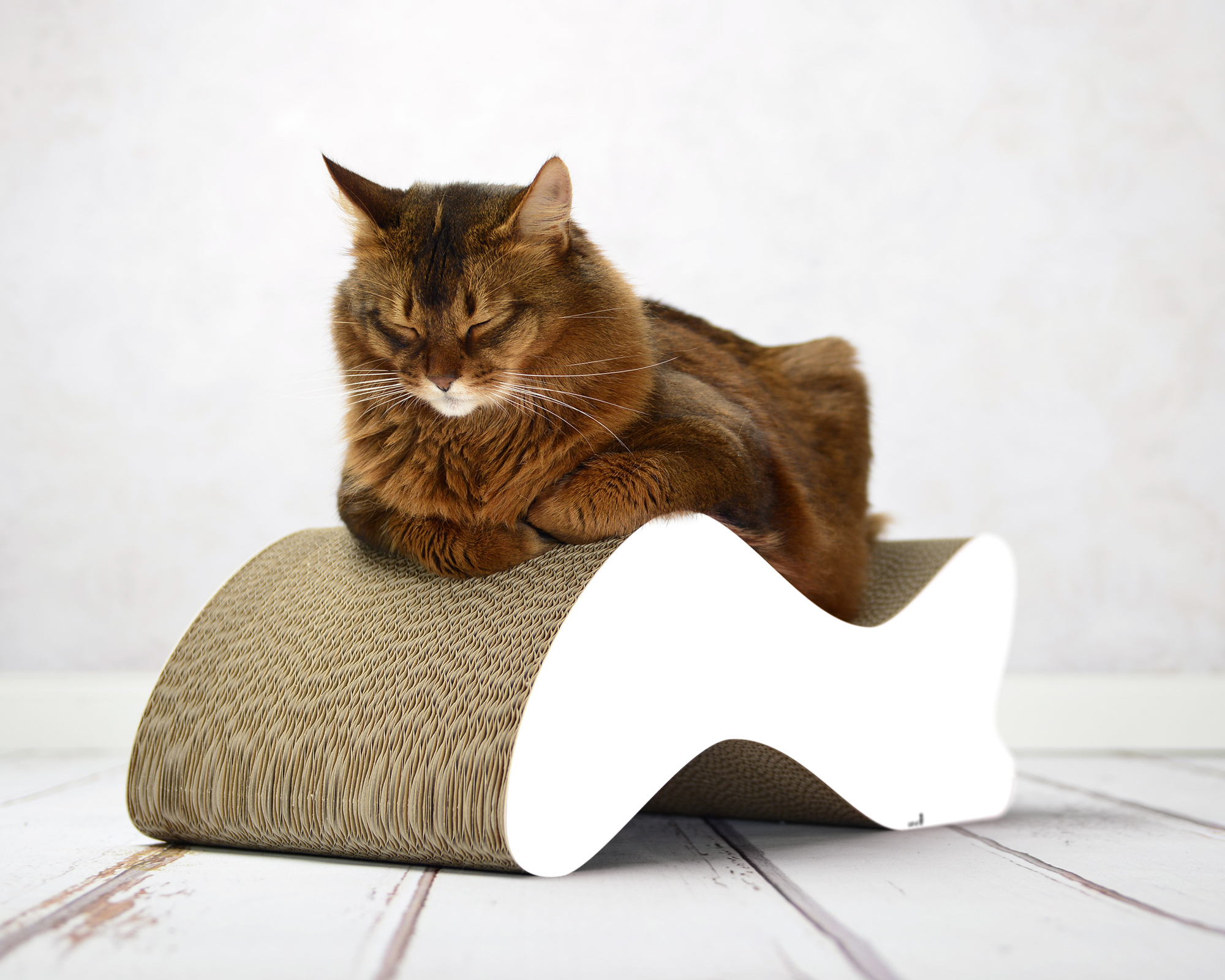 Große Katze auf KABOU – modernes Design-Kratzmöbel in Wellenform für große Katzen