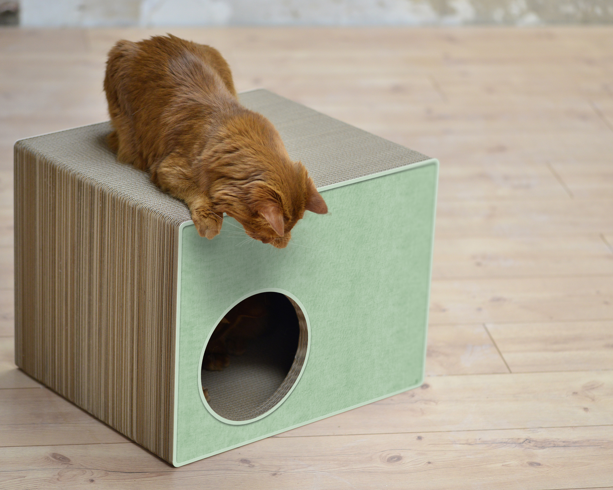 PHREDIA Eckhaus von cat-on, eine Katze oben liegend, eine Katze innen