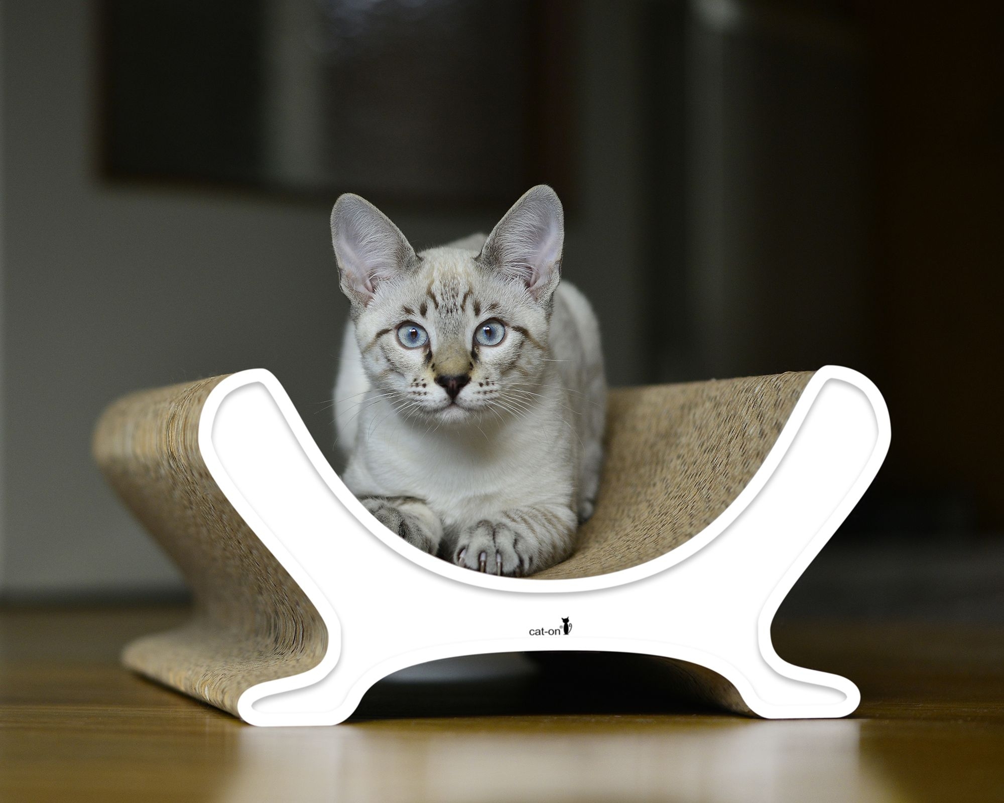Katze auf LE PANIER Katzenliege – Designer Katzencouch aus Kratzpappe, handgefertigt in Berlin
