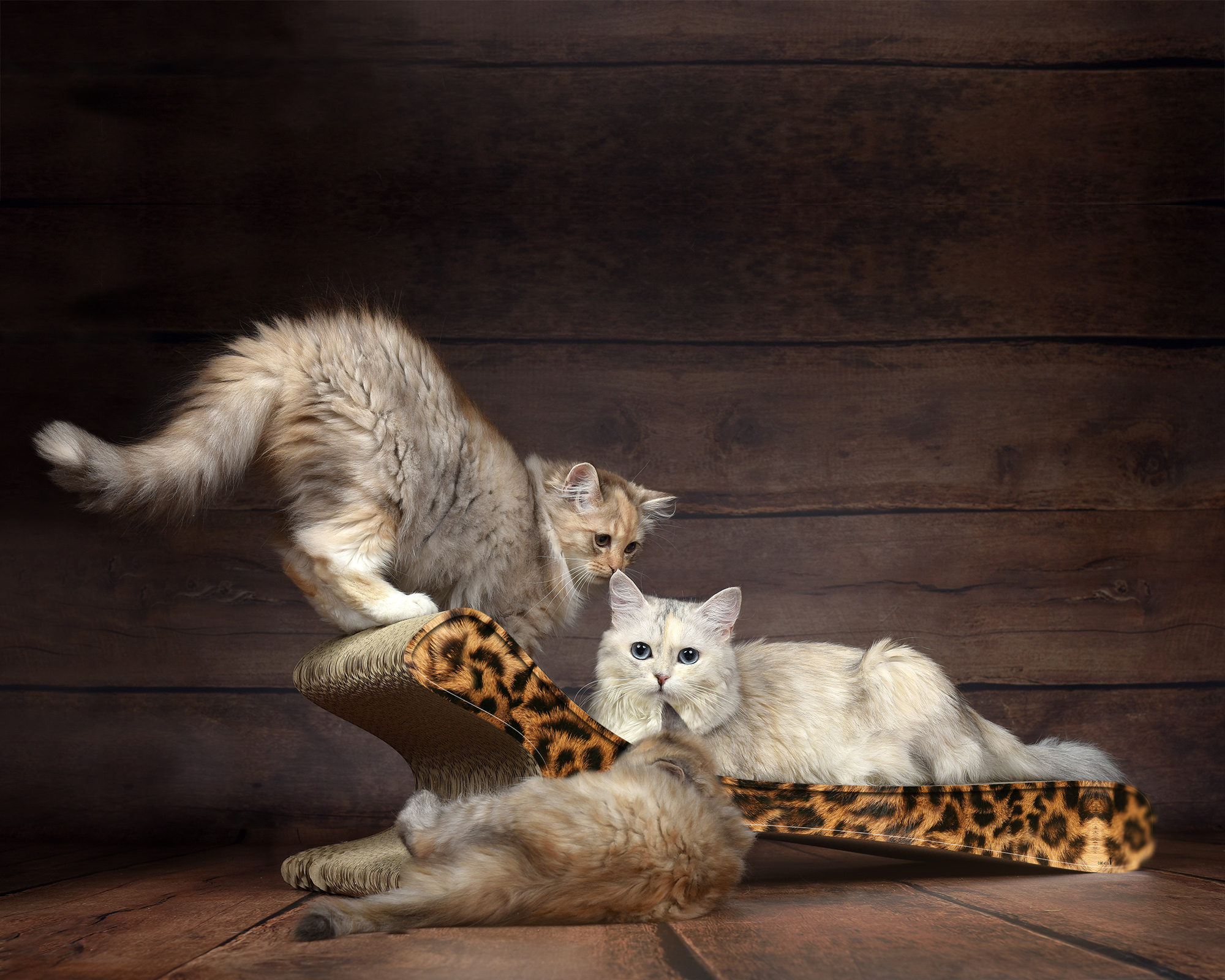 Modell FELINE XL in Gepard-Muster – stilvolle Katzenliege aus nachhaltiger Kratzpappe, Made in Germany