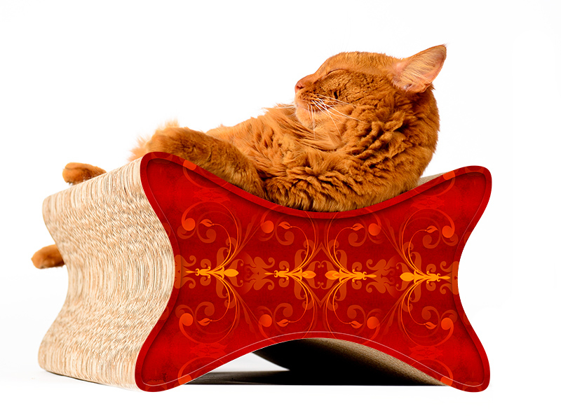 Chat sur LE PAPILLON griffoir de cat-on – meuble design en carton à griffer, fait main à Berlin