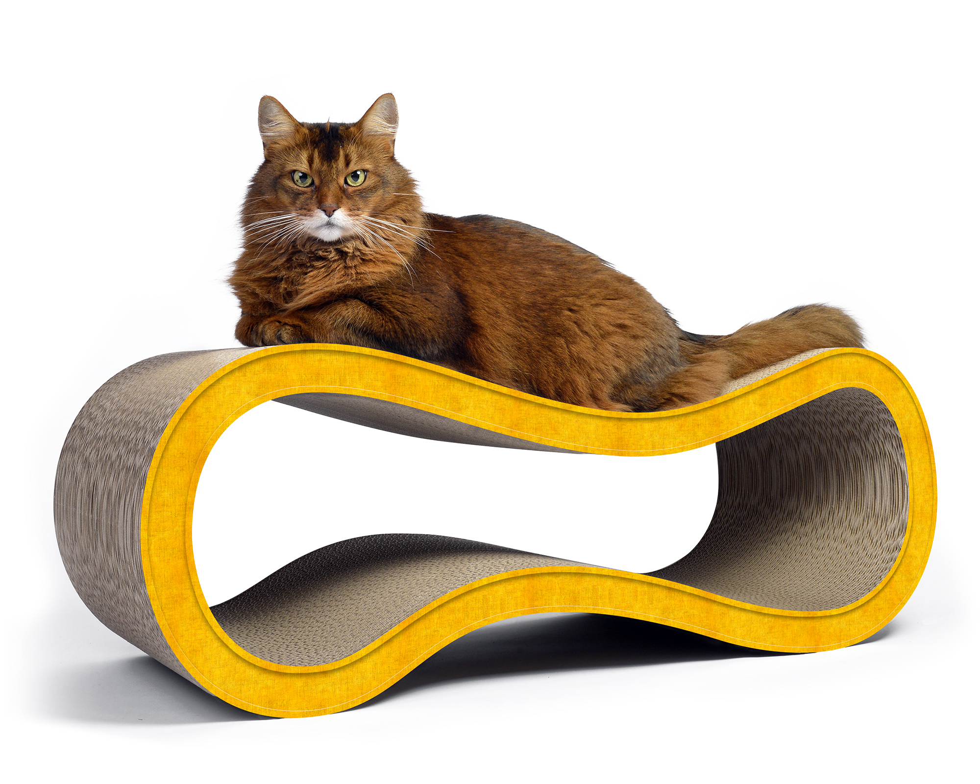 Katze auf SINGHA-L – moderner Design-Kratzbaum aus Kratzpappe von cat-on