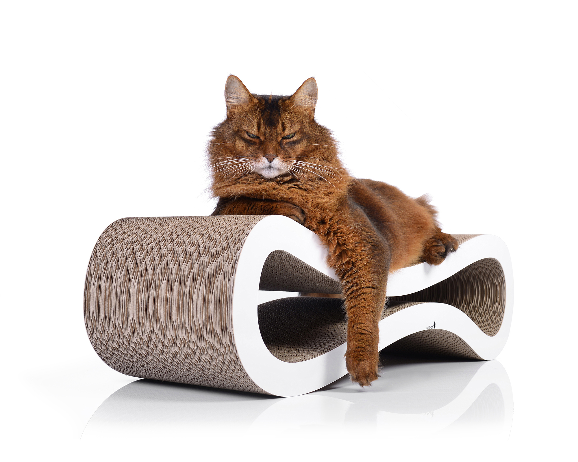 Designer Kratzmöbel für Katzen CAT RACER M Weiße Kratzwelle für Katzen Cat Racer in 26 cm Breite