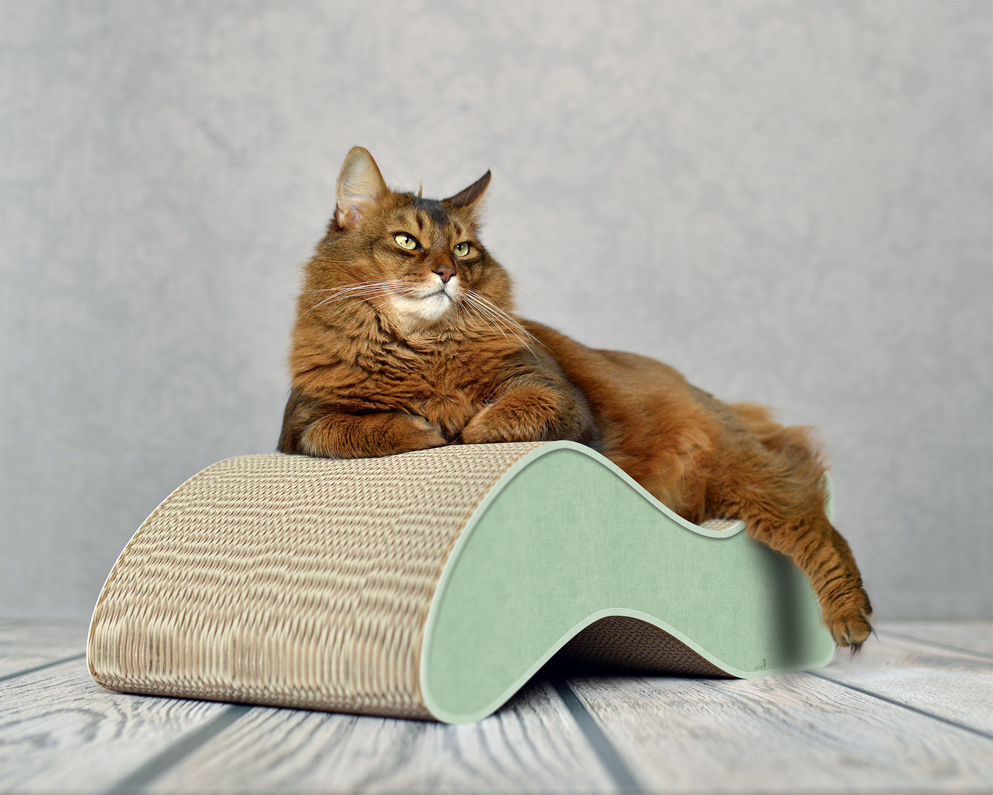 Große Katze auf KABOU XL– modernes Design-Kratzmöbel in Wellenform für große Katzen aus Kratzpappe