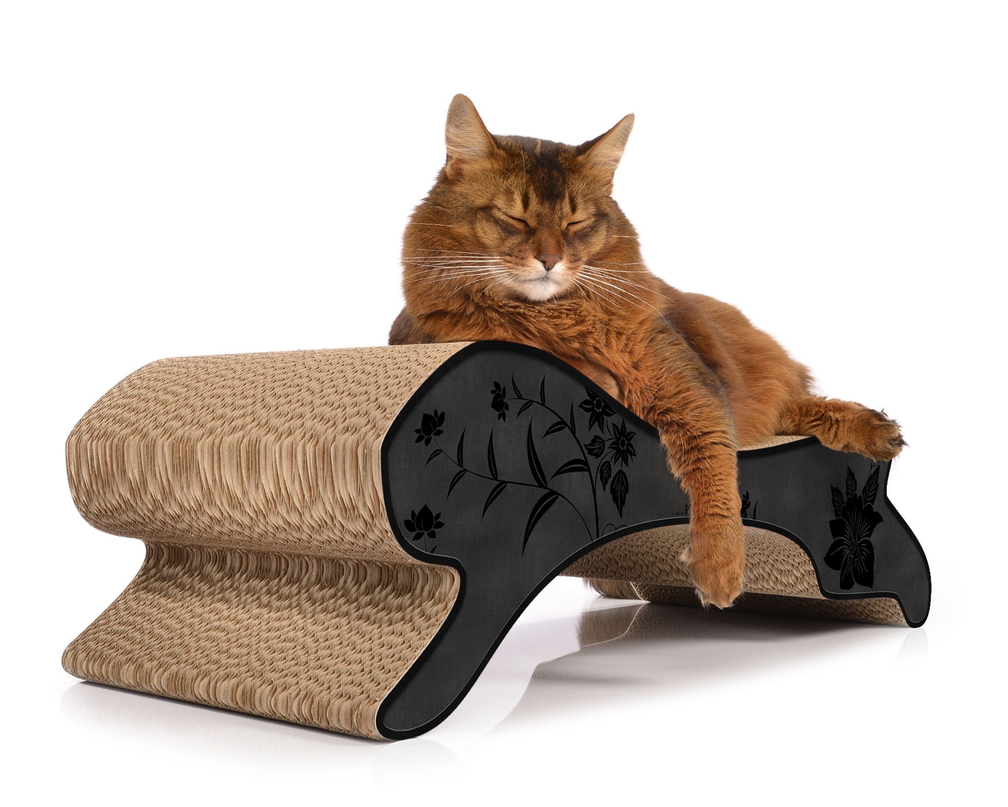 Eine Katze chillt entspannt auf dem modernen Design-Katzenmöbel Motion – stilvolles Kratzmöbel, Liegeplatz, Katzenbett