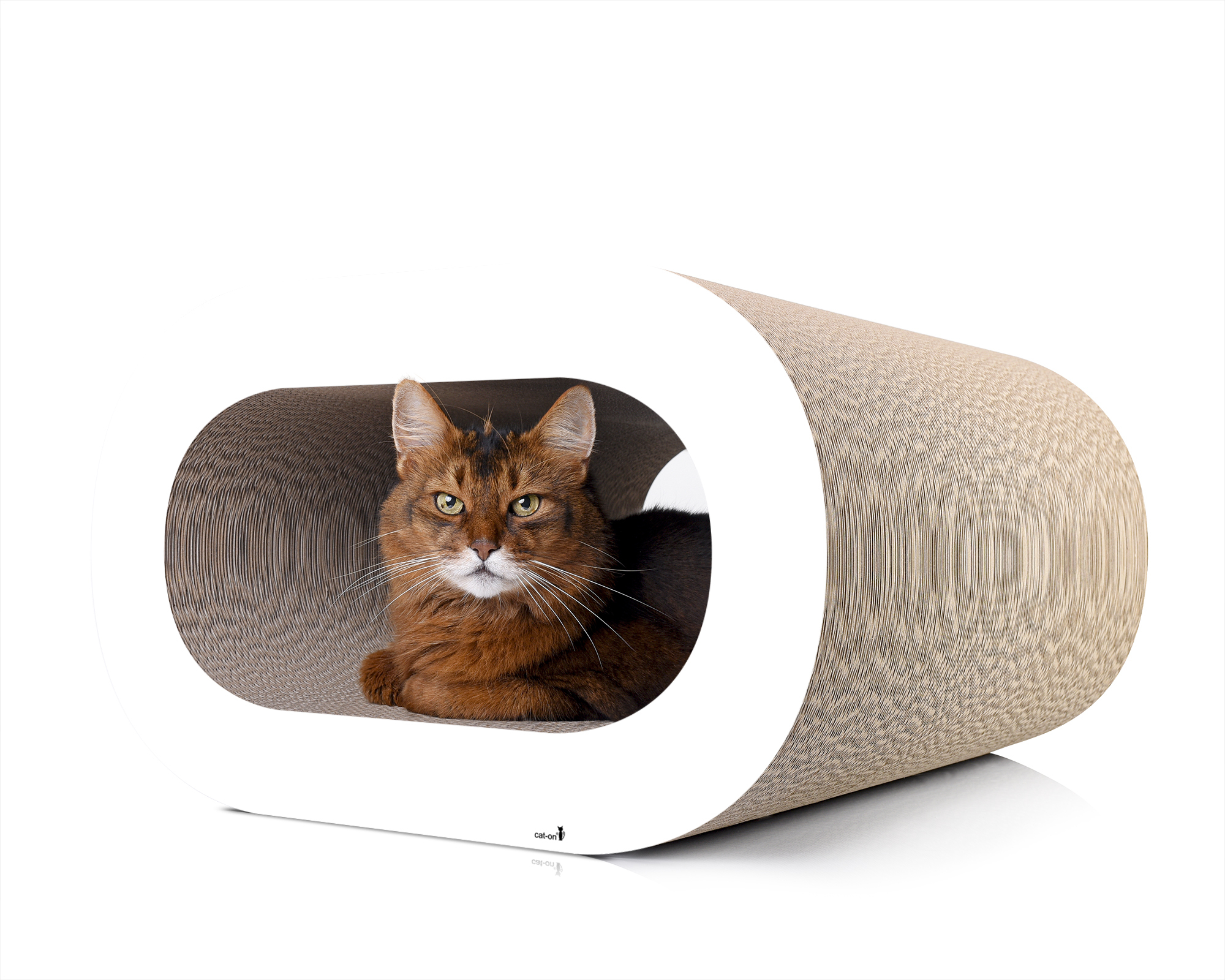 Katze in LE TRONC – stylische Kratzhöhle und modernes Kratzmöbel Eine Katze entspannt in LE TRONC – einer stylischen Kratzhöhle aus nachhaltiger Wellpappe, ein modernes Kratzmöbel für Katzen mit elegantem Design.