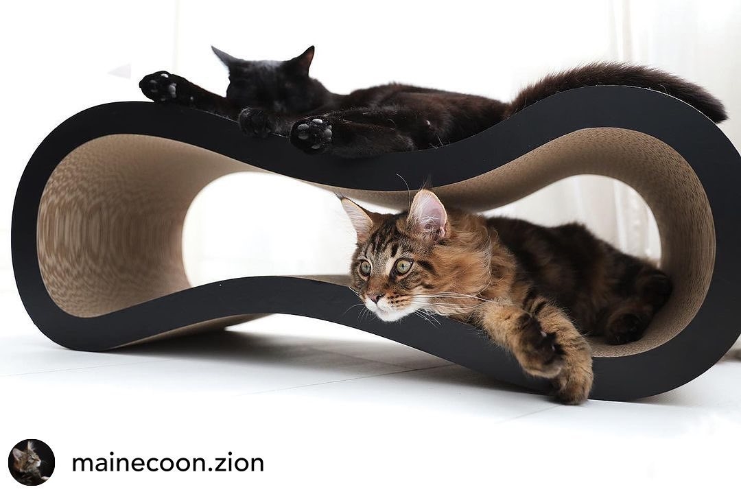 grand griffoir en carton design SINGHA L, fabrication allemande