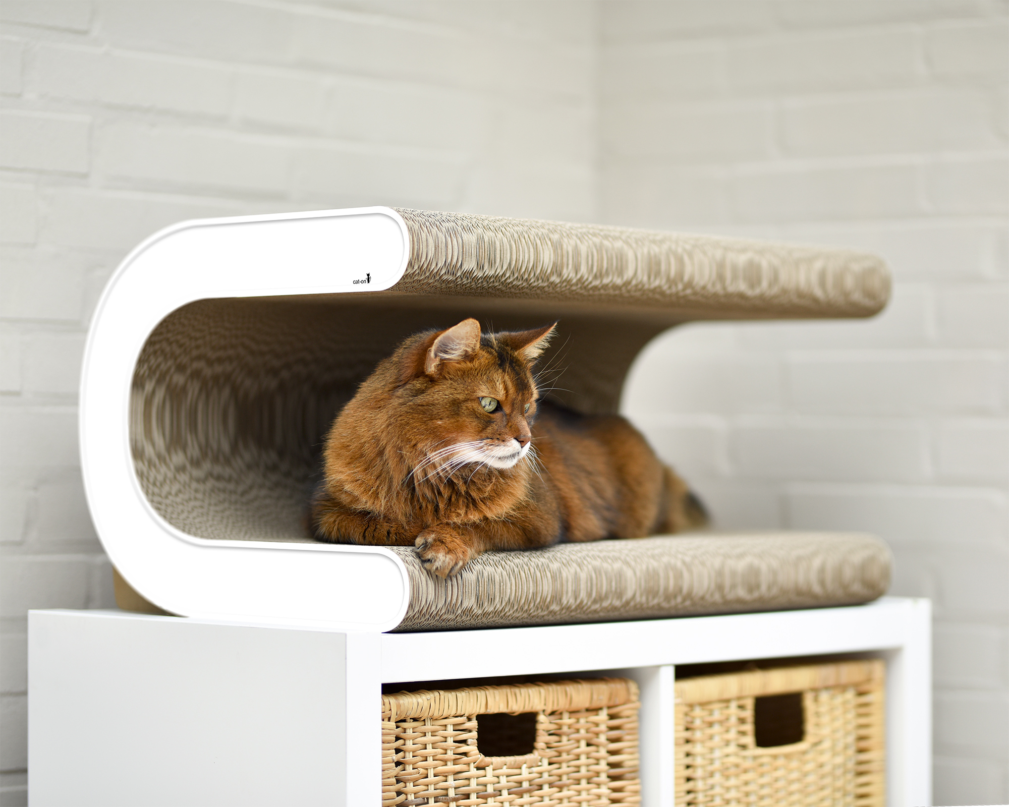Großes Kratzmöbel Le Tonneau XL – perfekt zum Relaxen Katze entspannt auf dem Le Tonneau XL Design-Kratzmöbel