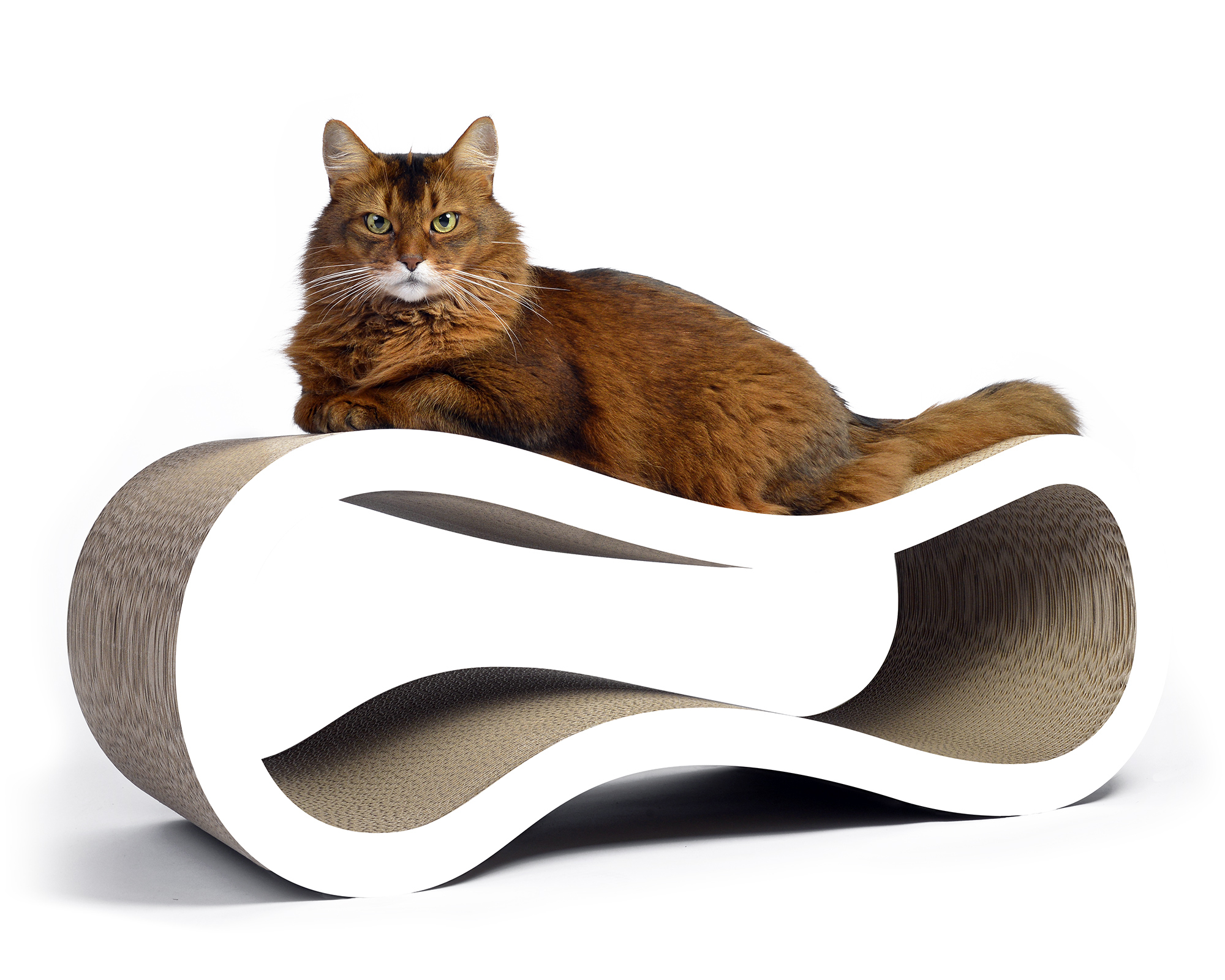 Modernes Katzenmöbel Singha L zum Kratzen, Spielen, Schlafen großes, robustes Katzenmöbel aus fester Wellpappe in Deutschland gefertigt