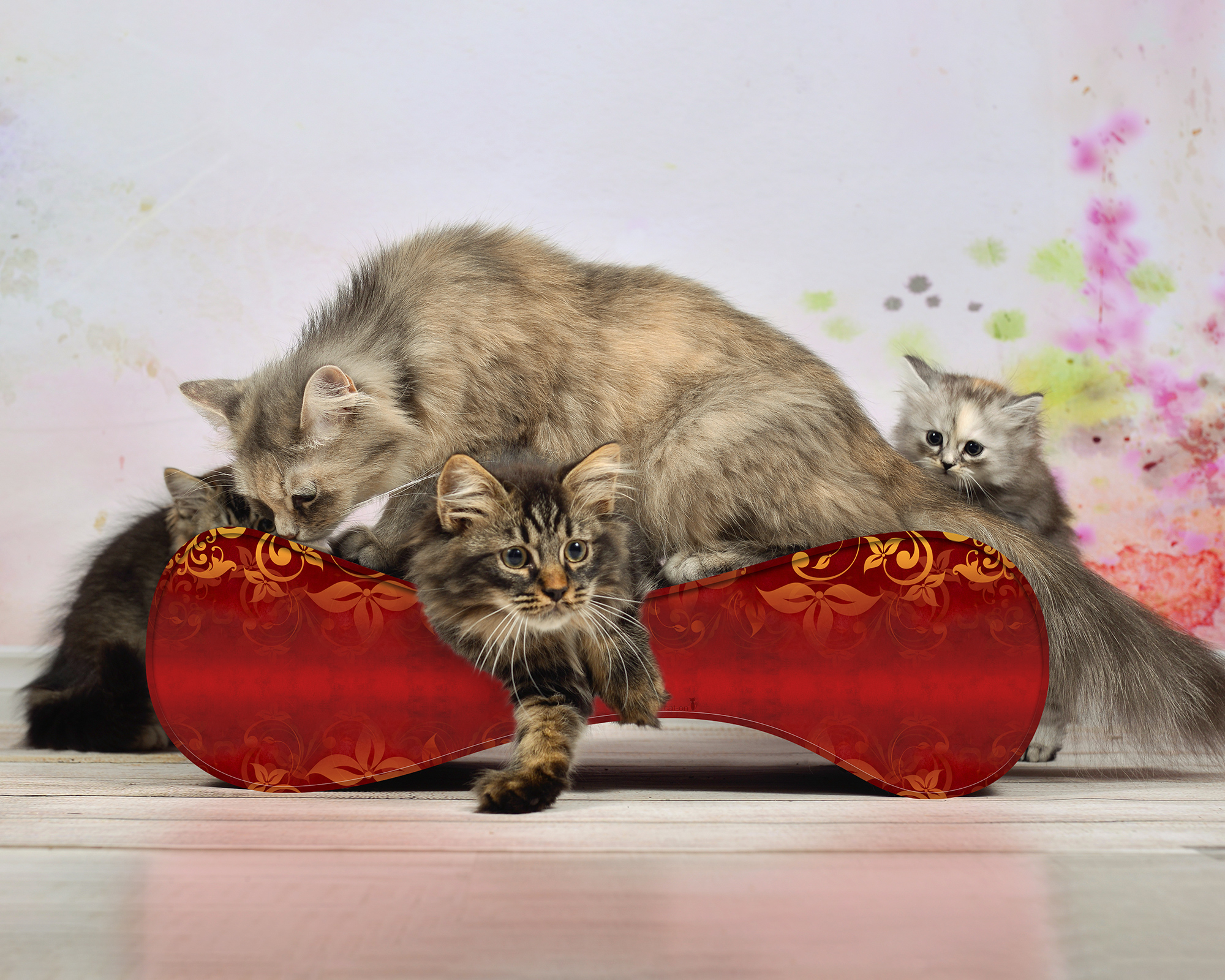 LE VER S Kratzwelle für Katzen, élégance (030)