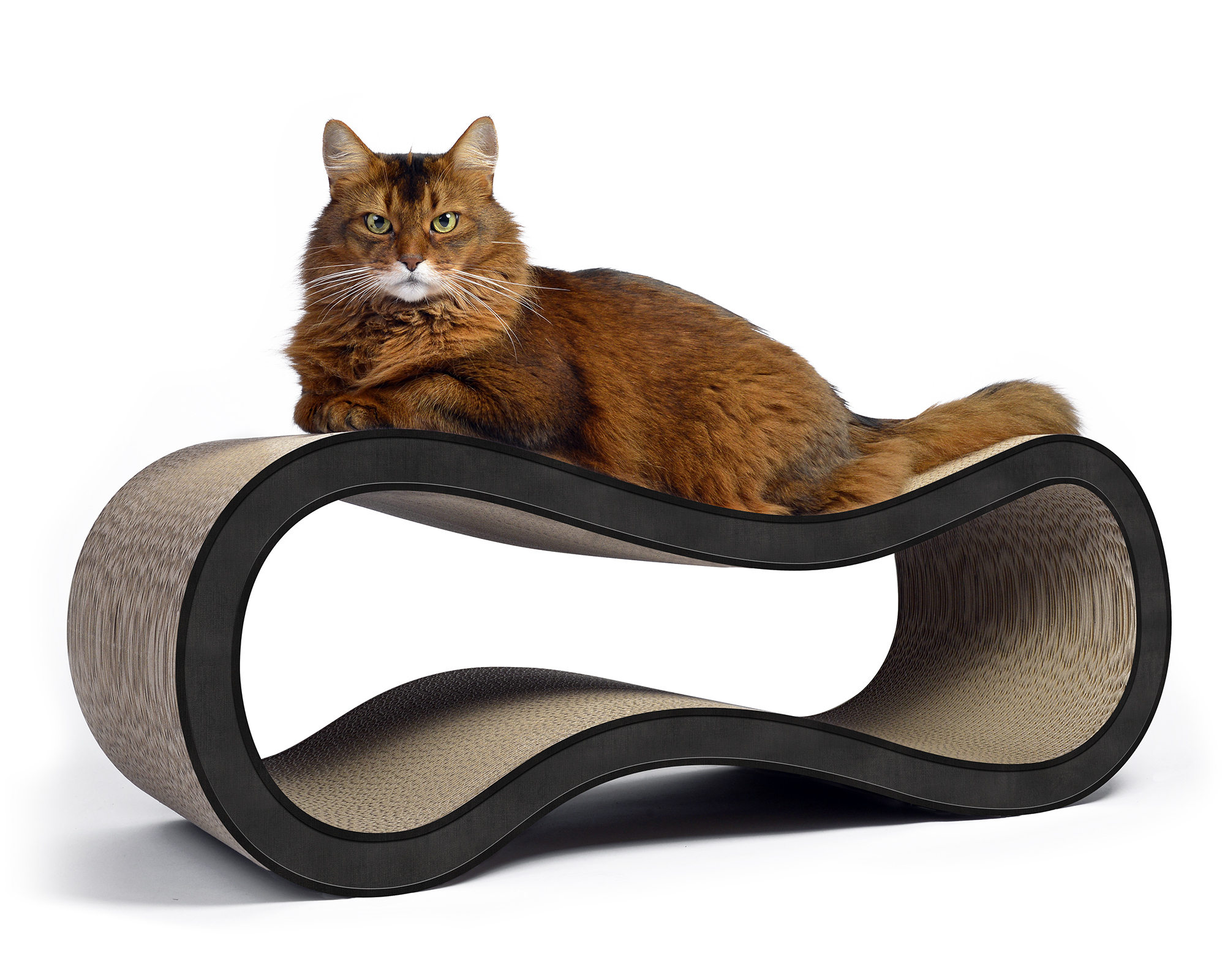 Großer Kratzbaum Singha L in Anthrazit – Design-Katzenmöbel mit Katze aus Wellpappe